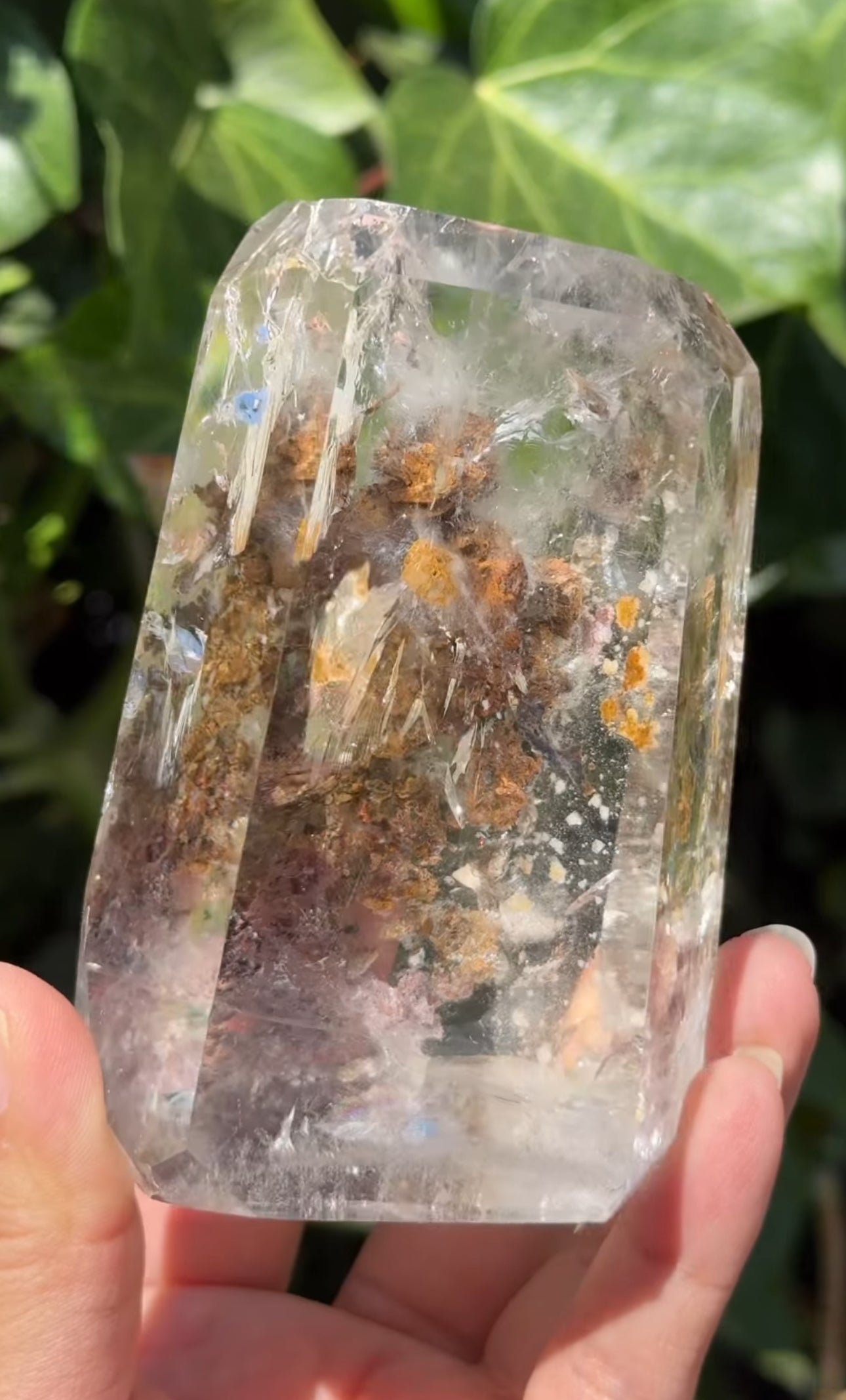 
                  
                    2/2 RESERVED LISTING - 7rings7sins
                  
                