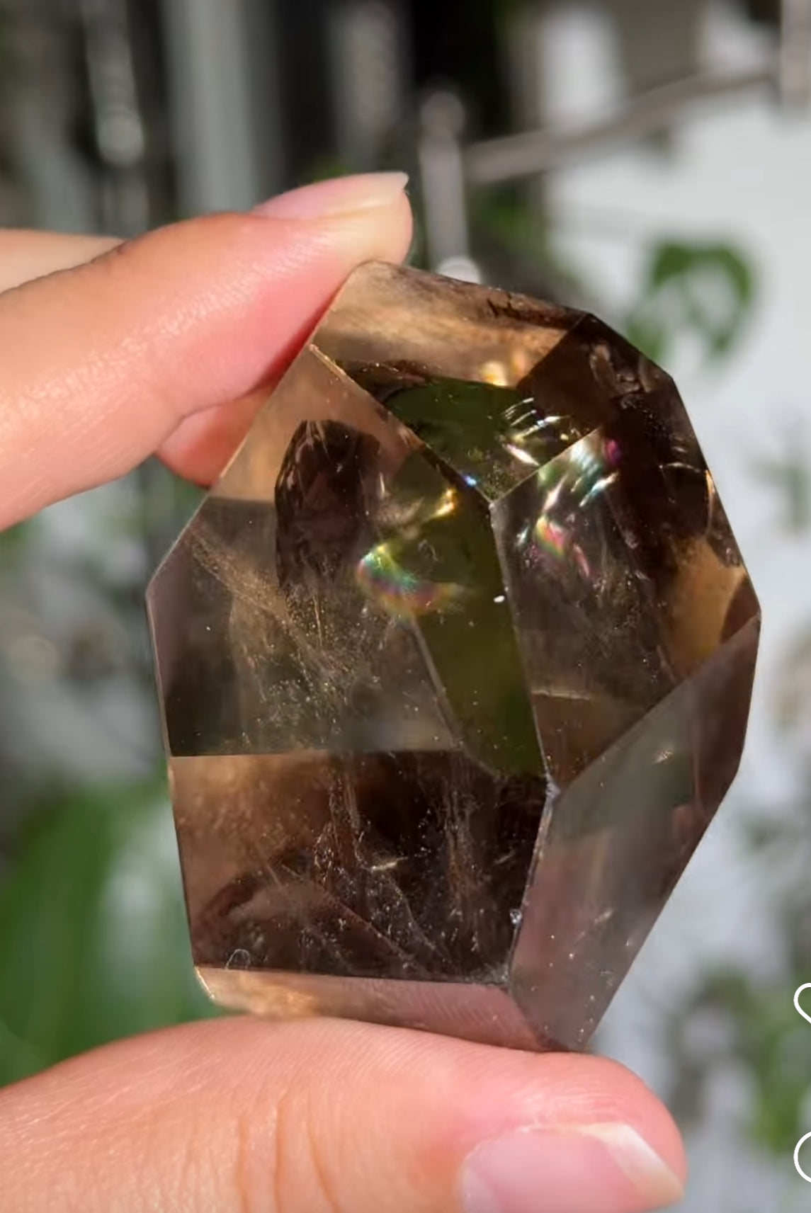 
                  
                    1/2 RESERVED LISTING - angeliqvixen_
                  
                