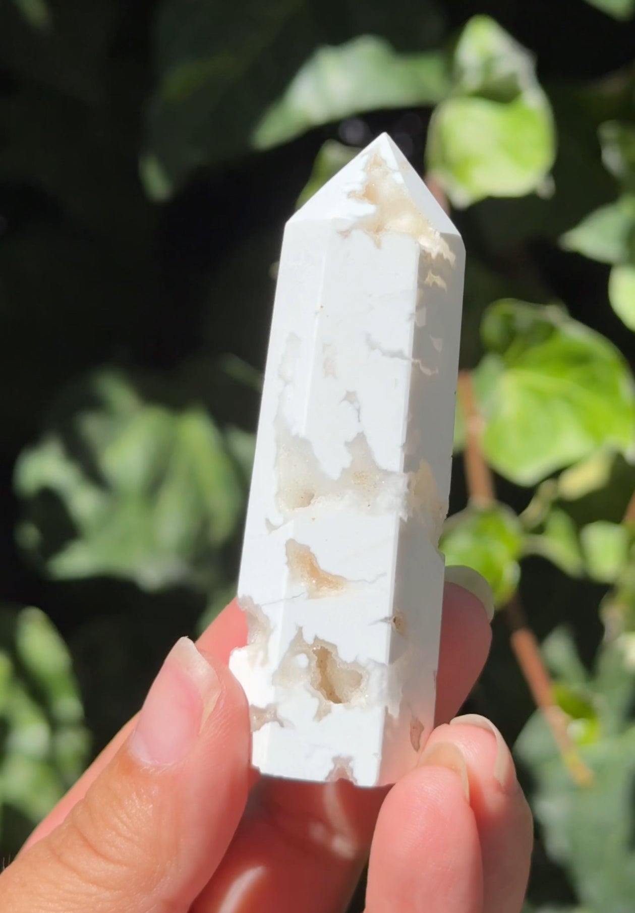 
                  
                    2/2 RESERVED LISTING - 7rings7sins
                  
                