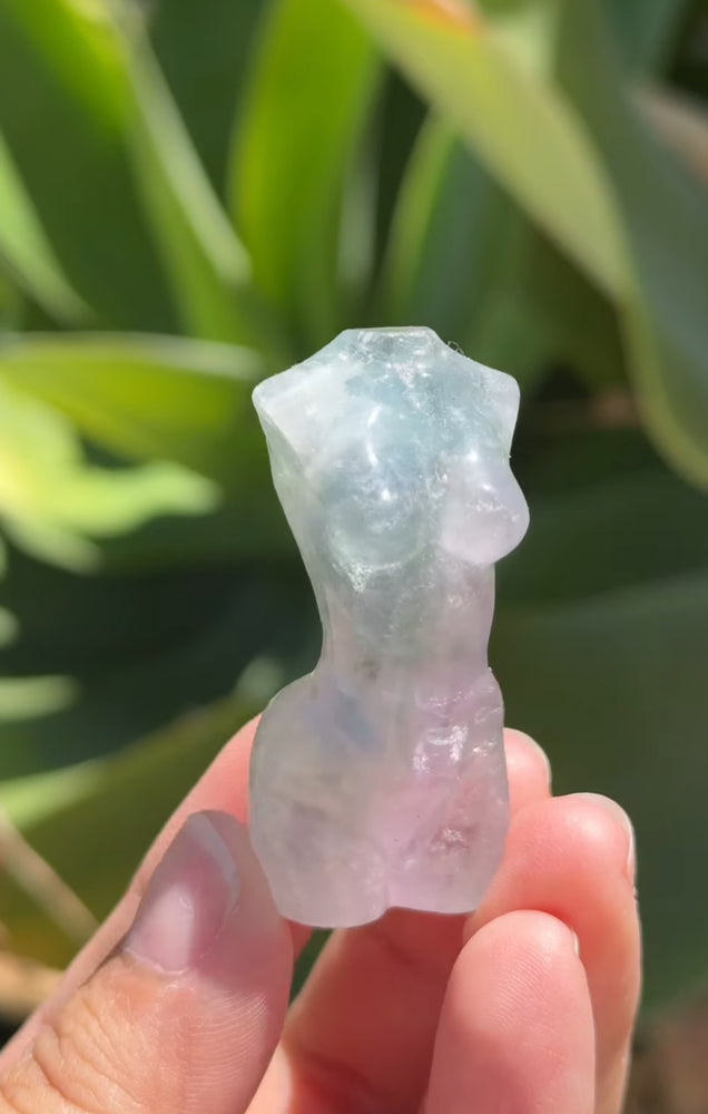 
                  
                    RESERVED LISTING - zombieboy69
                  
                