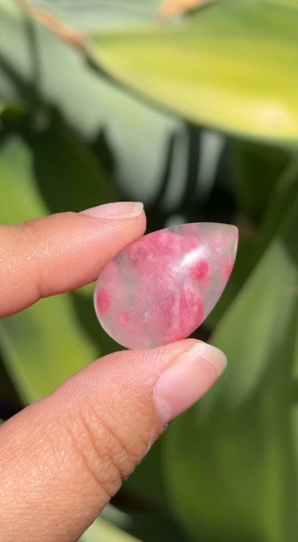 
                  
                    1/2 RESERVED LISTING - angeliqvixen_
                  
                