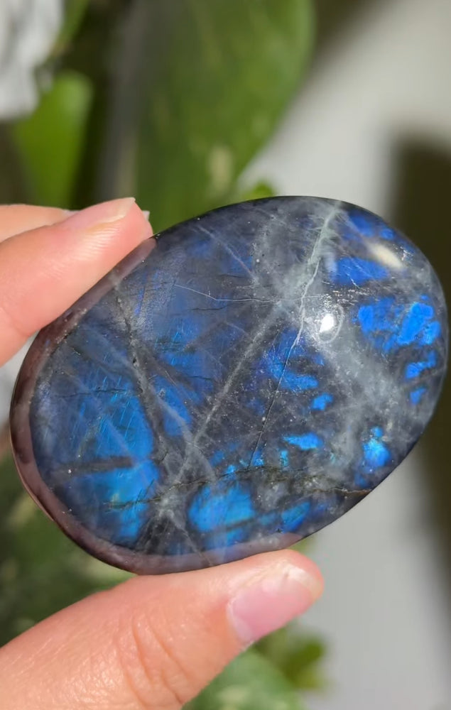 
                  
                    RESERVED LISTING - zombieboy69
                  
                