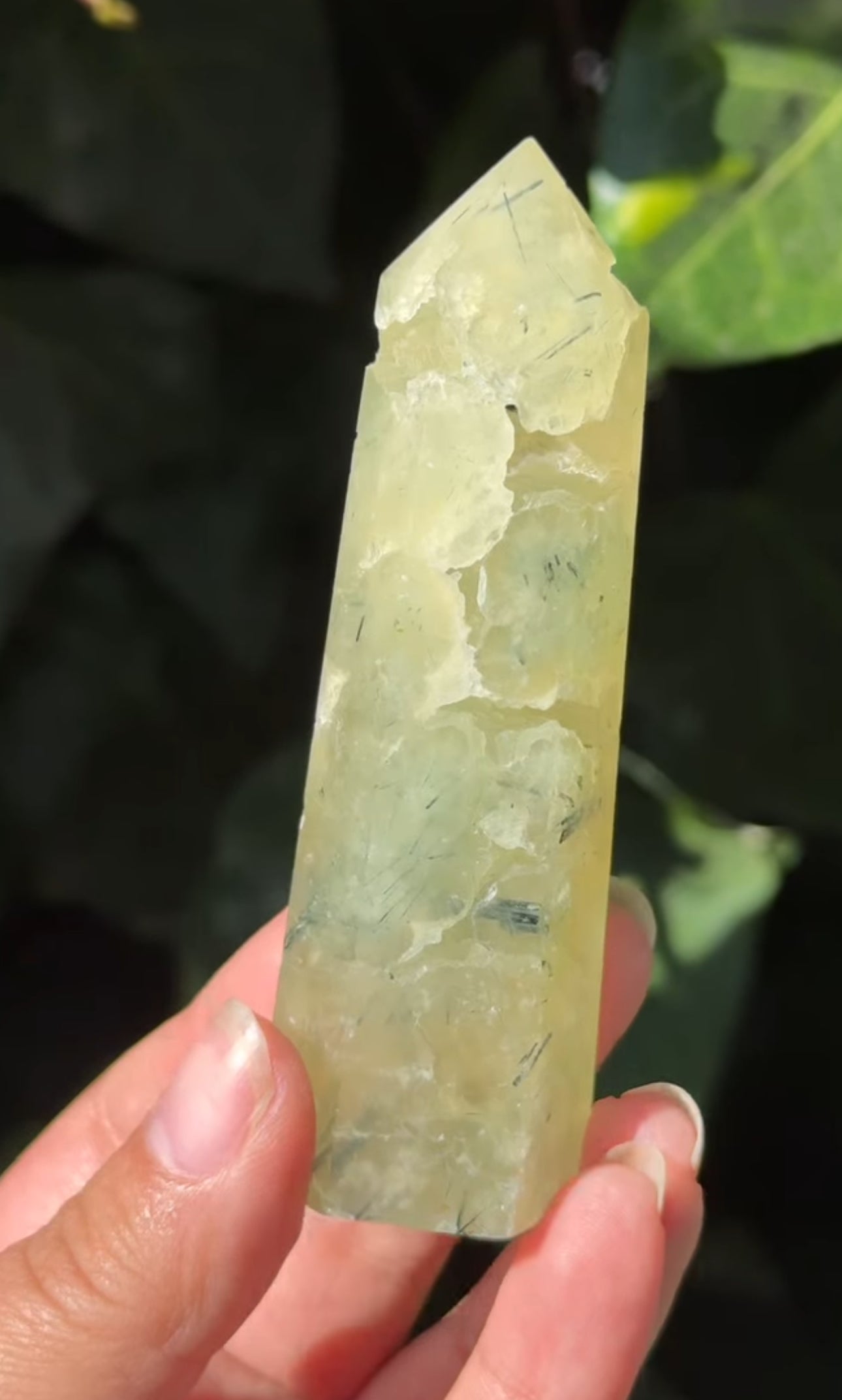 
                  
                    2/2 RESERVED LISTING - 7rings7sins
                  
                