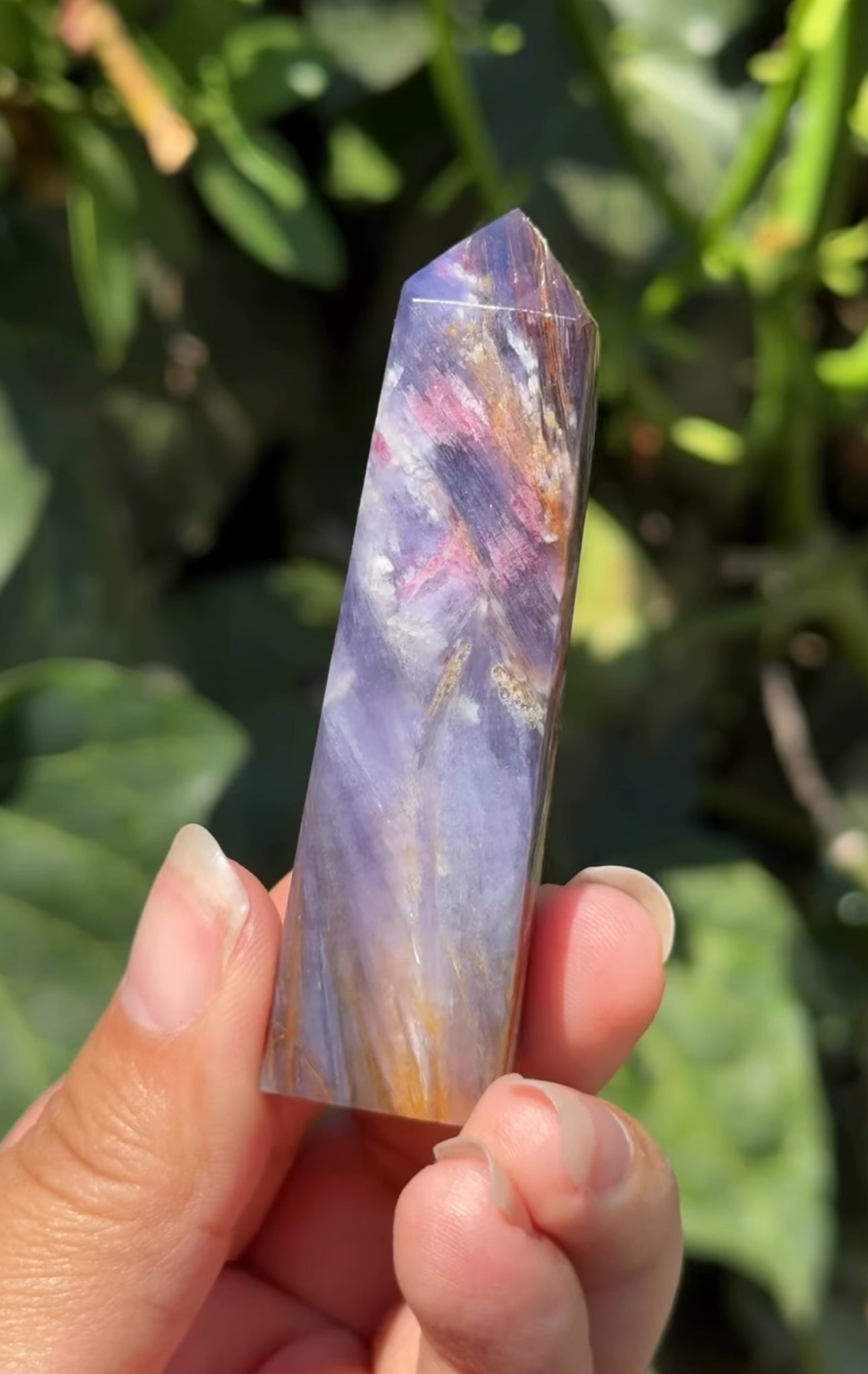 
                  
                    RESERVED LISTING - viv
                  
                