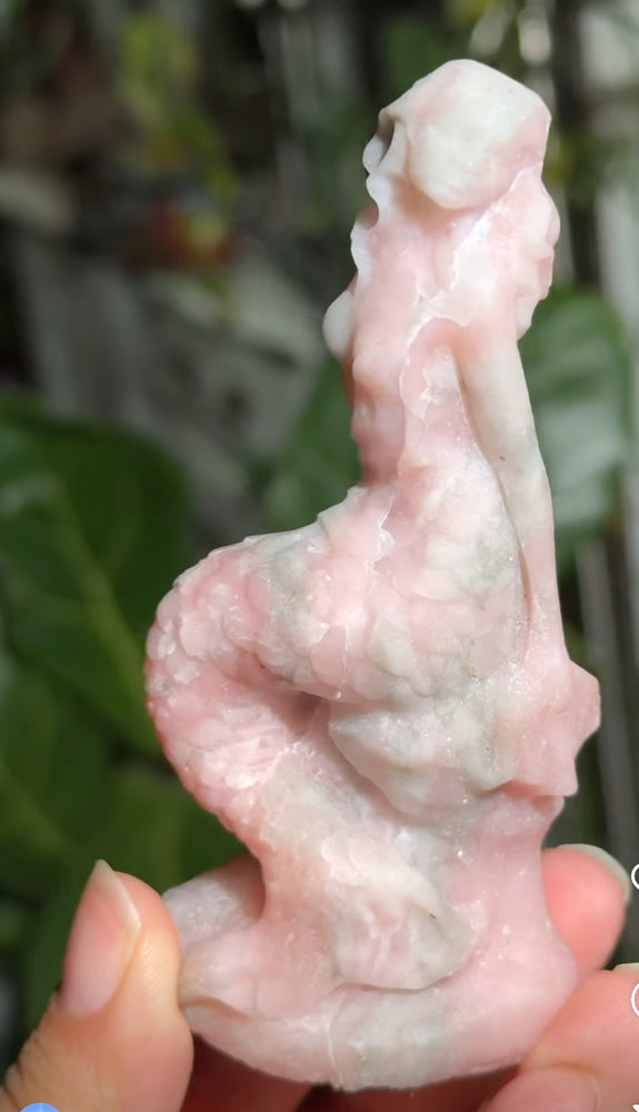 
                  
                    1/2 RESERVED LISTING - angeliqvixen_
                  
                