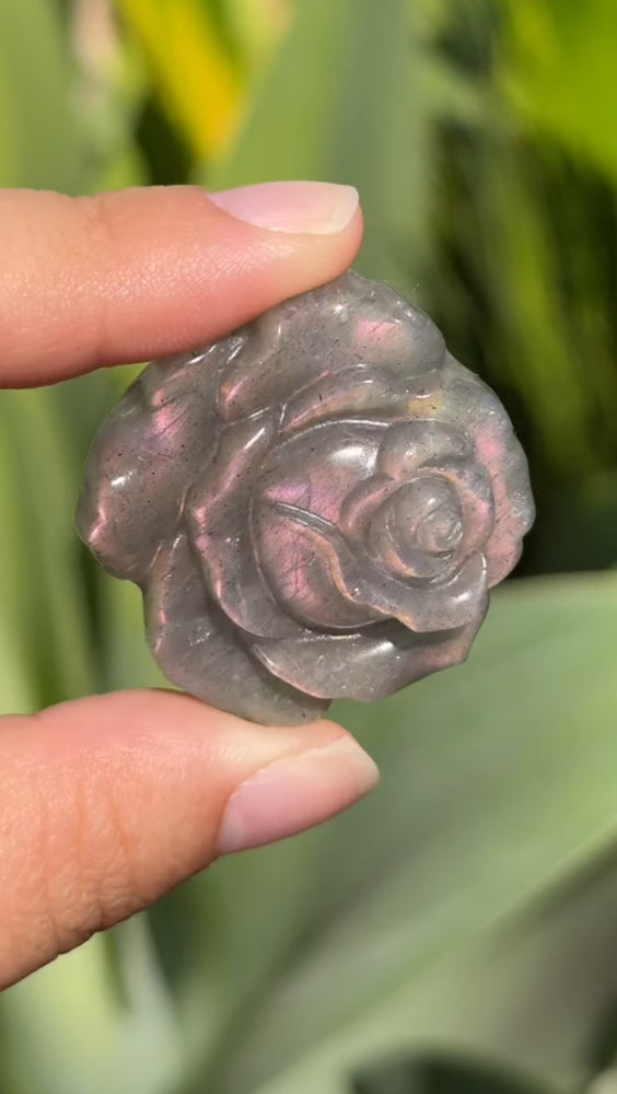 
                  
                    1/2 RESERVED LISTING - angeliqvixen_
                  
                