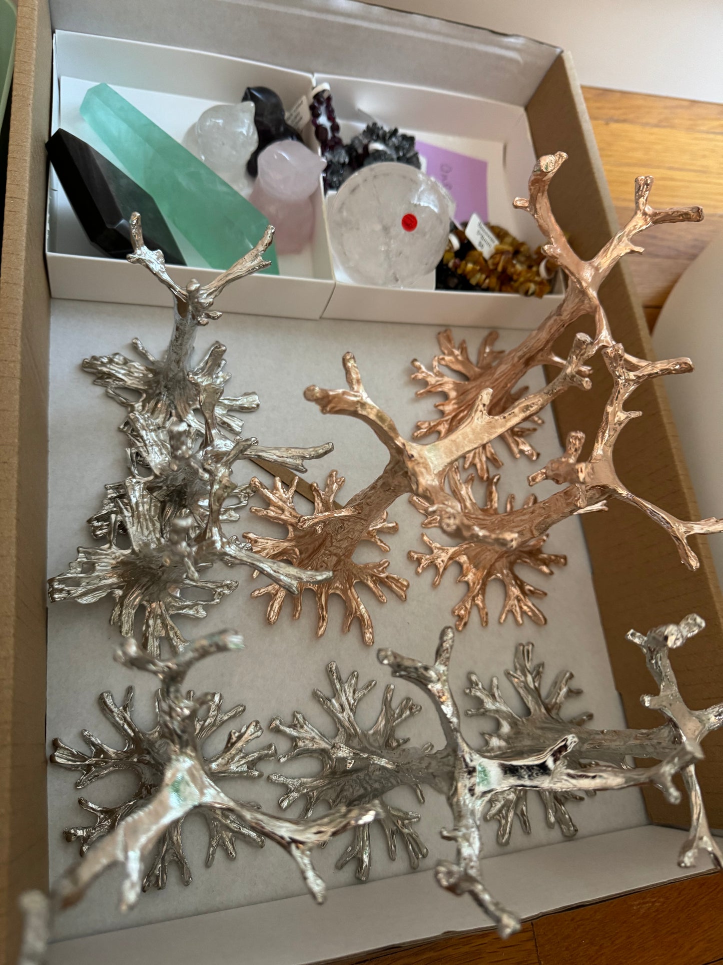 
                  
                    2/3 RESERVED LISTING - angeliqvixen_
                  
                