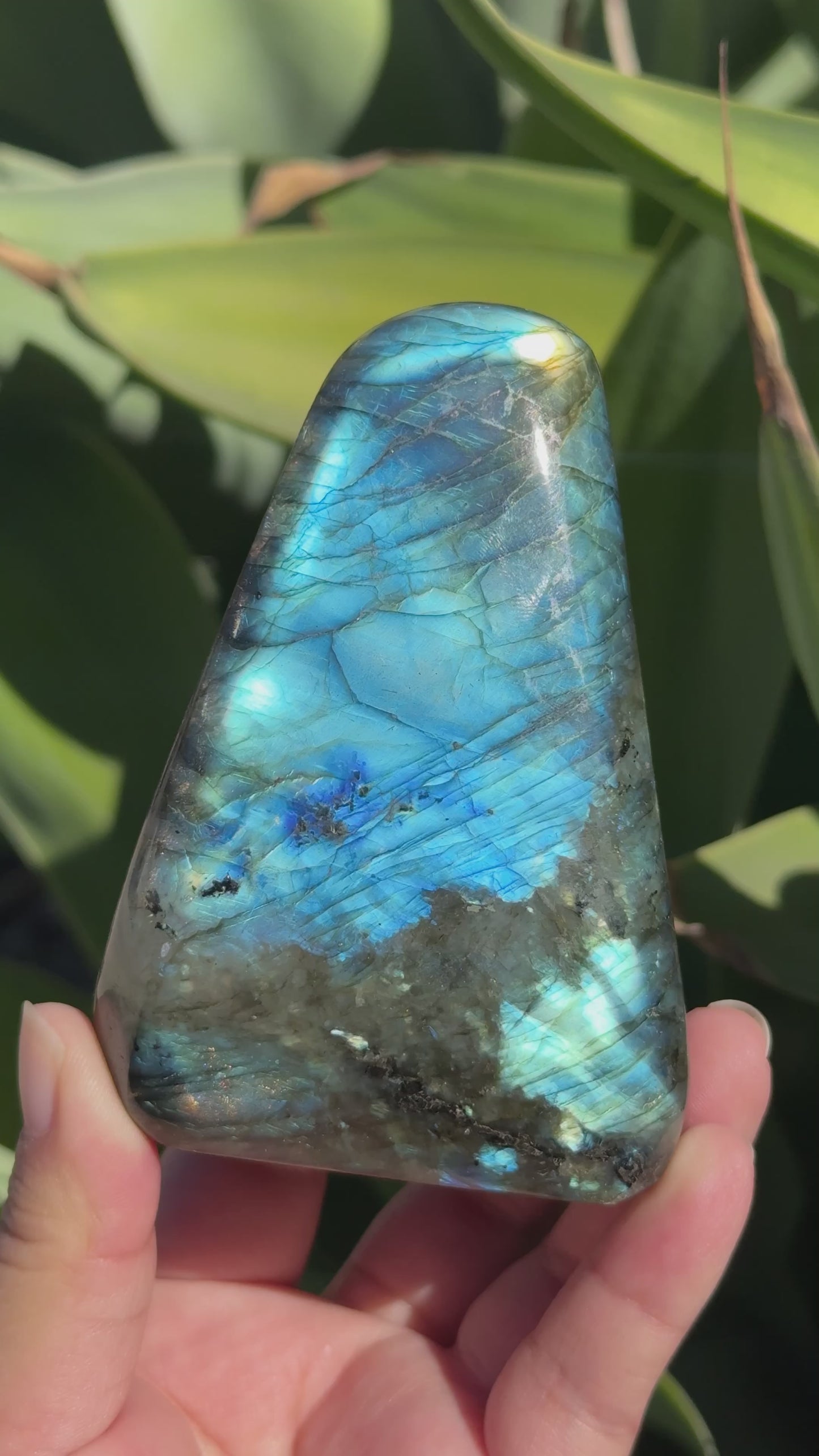 
                  
                    Load and play video in Gallery viewer, Labradorite Freeform
                  
                