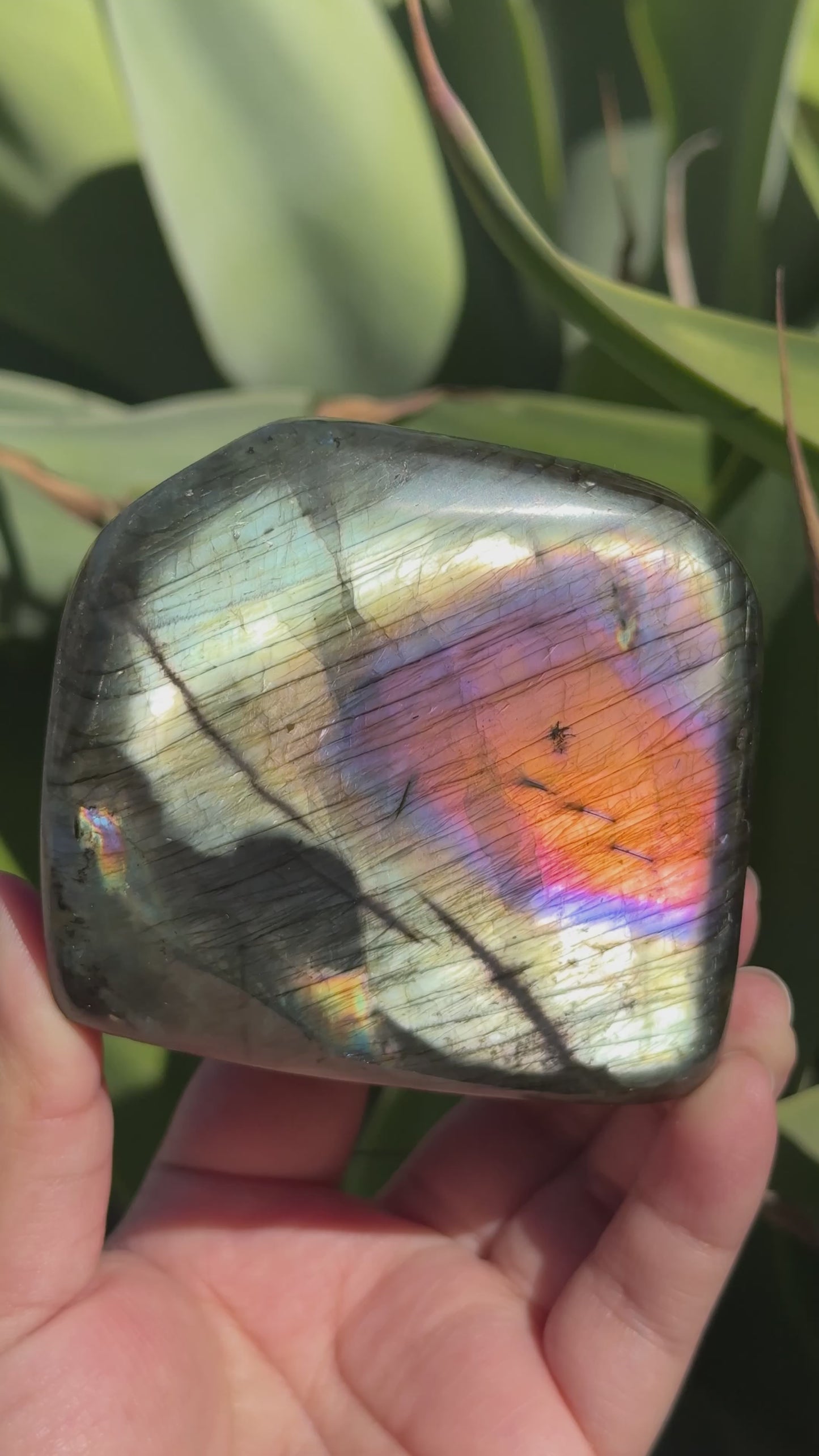 
                  
                    Load and play video in Gallery viewer, Labradorite Freeform
                  
                