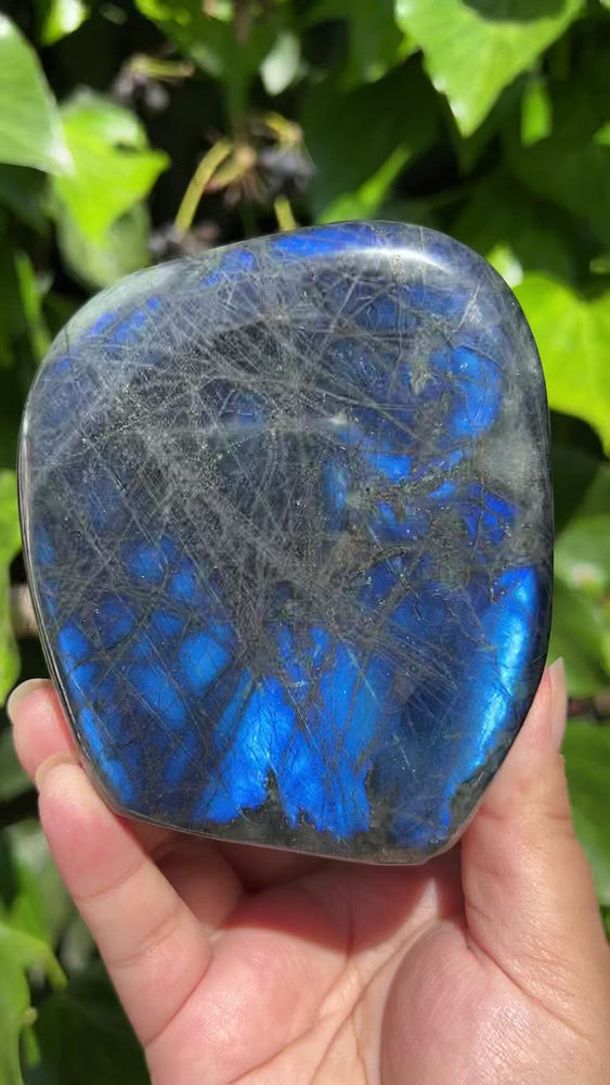 
                  
                    Load and play video in Gallery viewer, Electric Blue Labradorite Freeform
                  
                