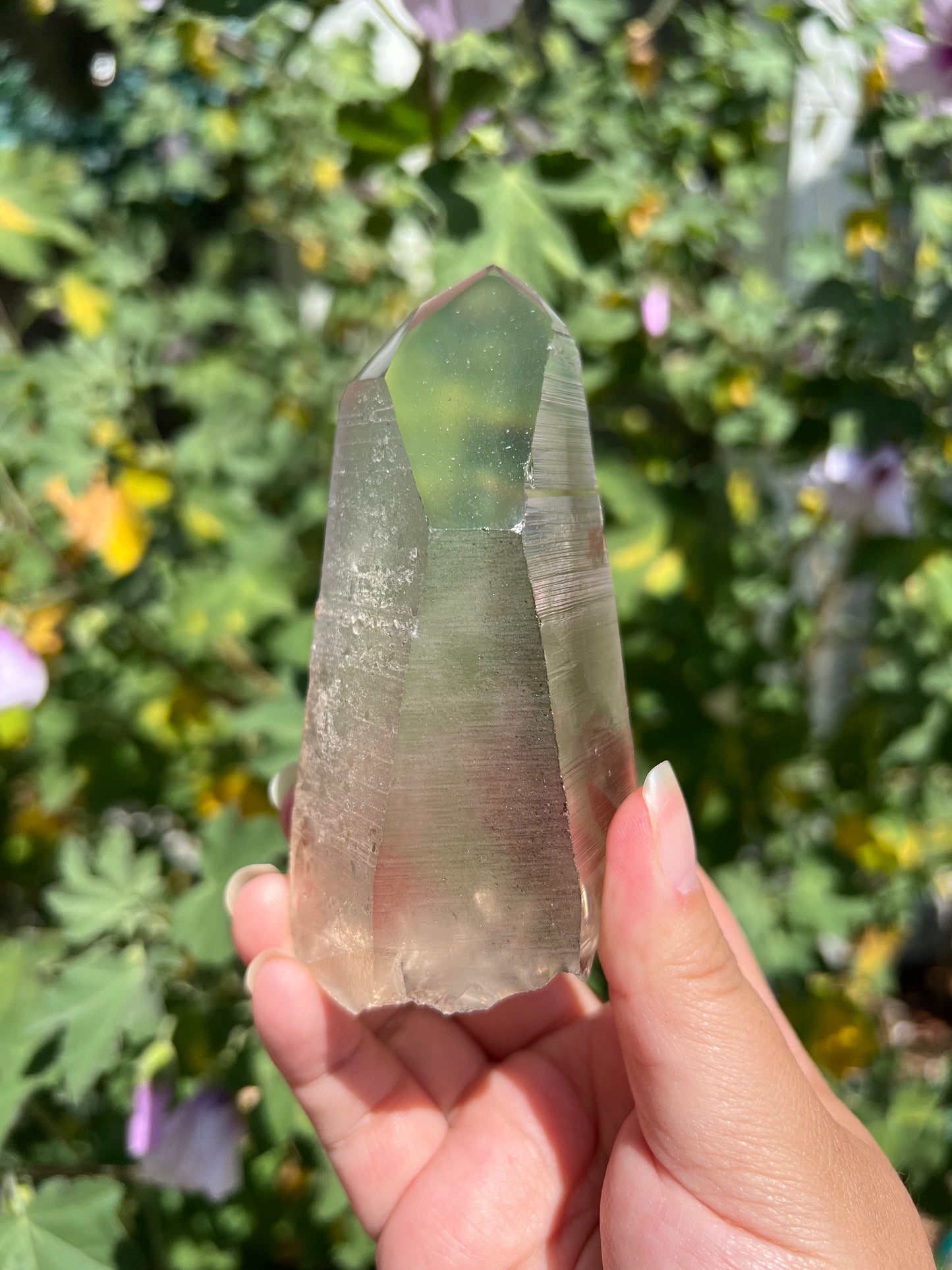 
                  
                    Smoky Quartz Lemurian Point
                  
                