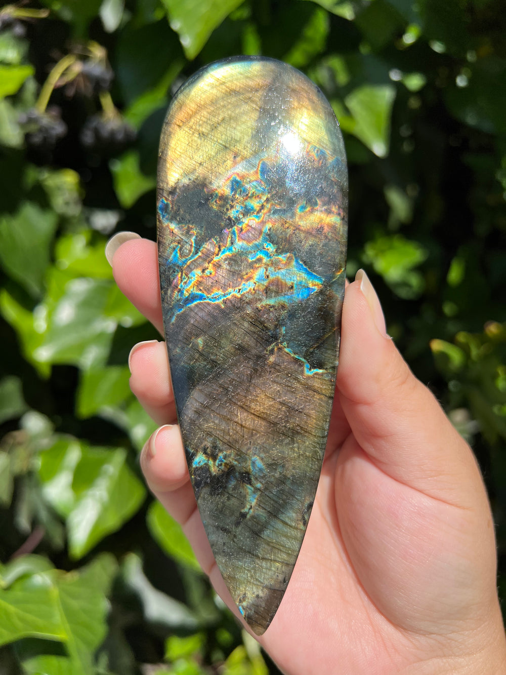 XL Labradorite Cab