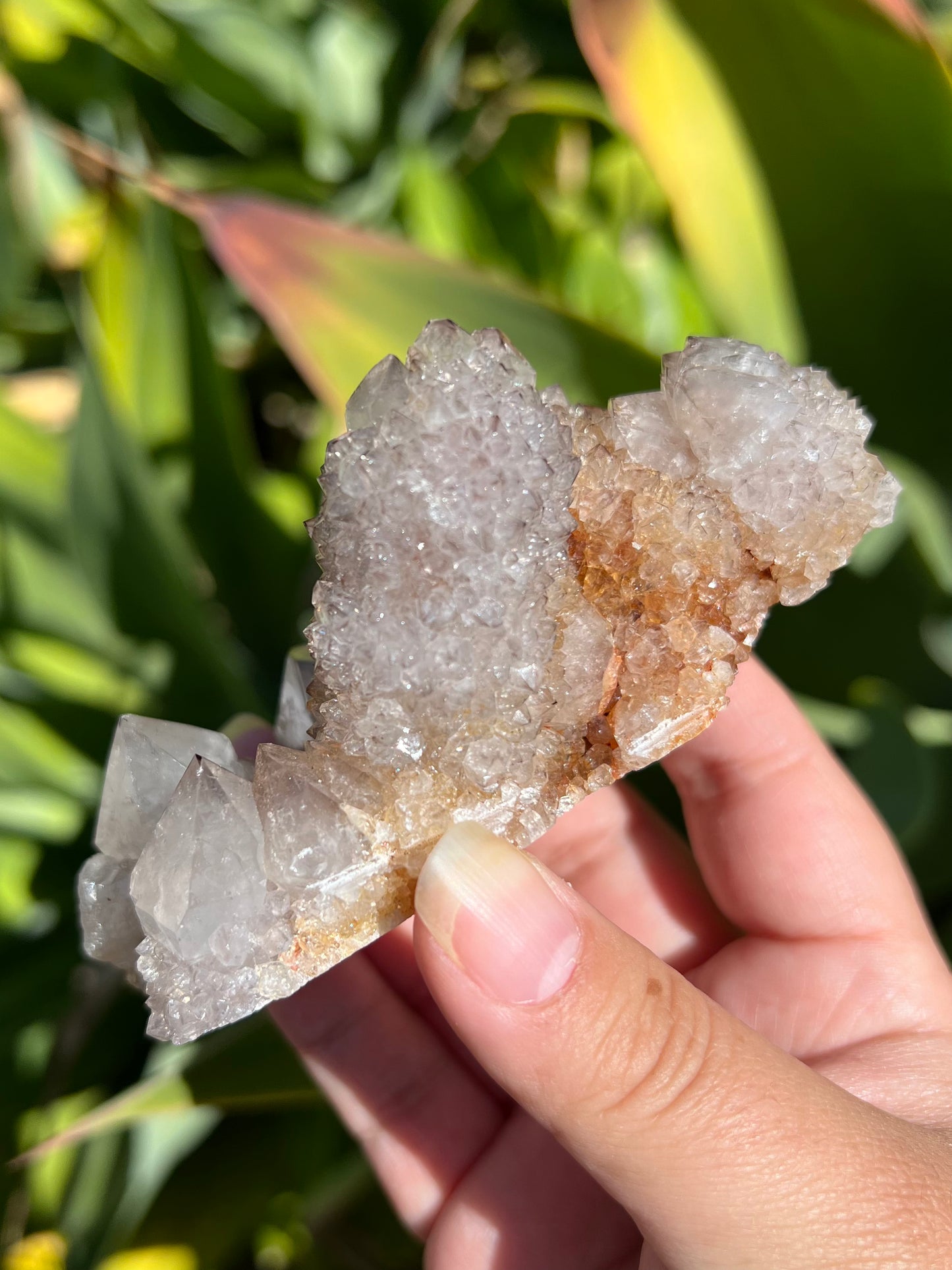 
                  
                    Smokey Spirit Quartz Cluster
                  
                