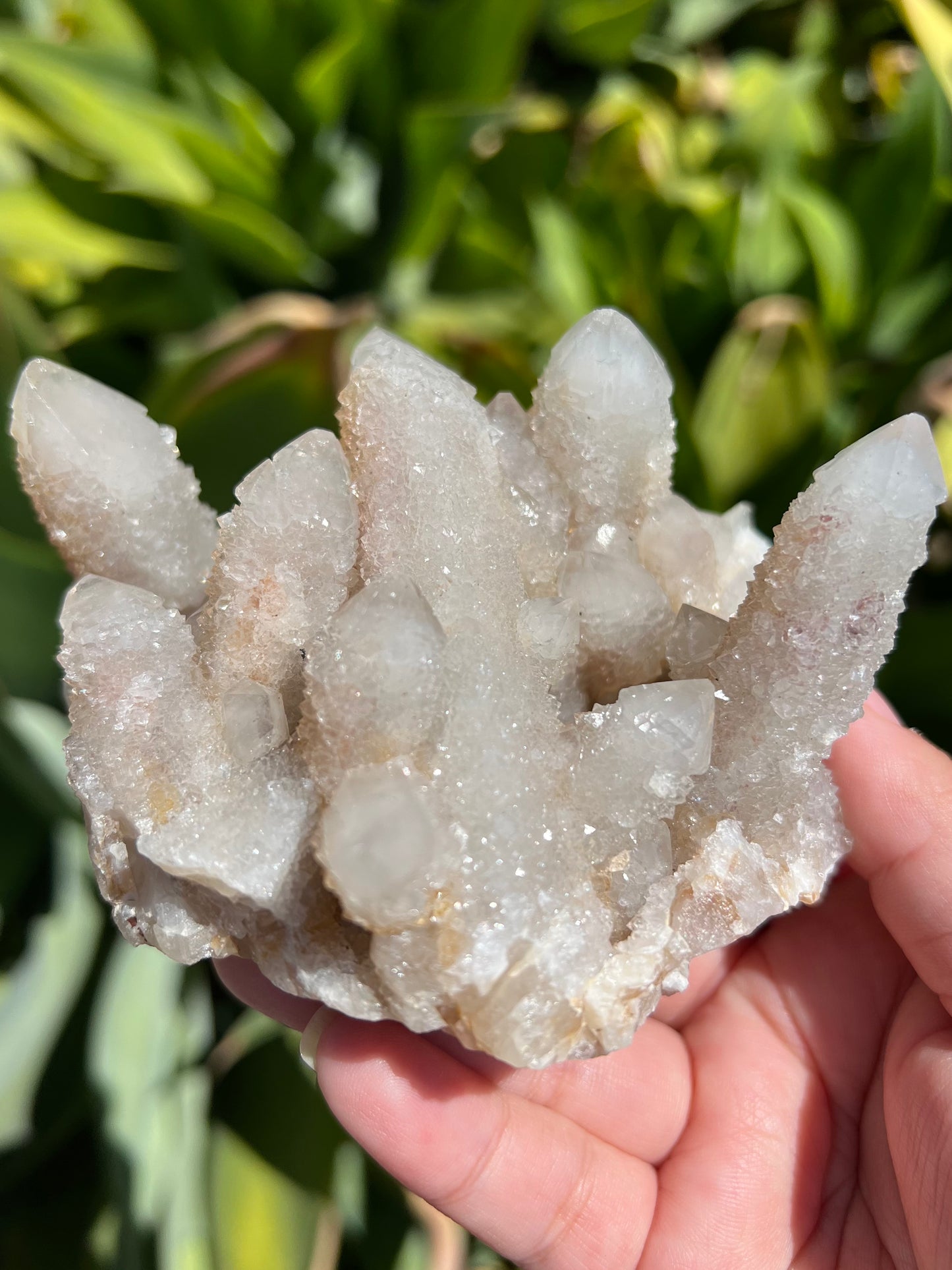 
                  
                    Spirit Quartz Cluster
                  
                
