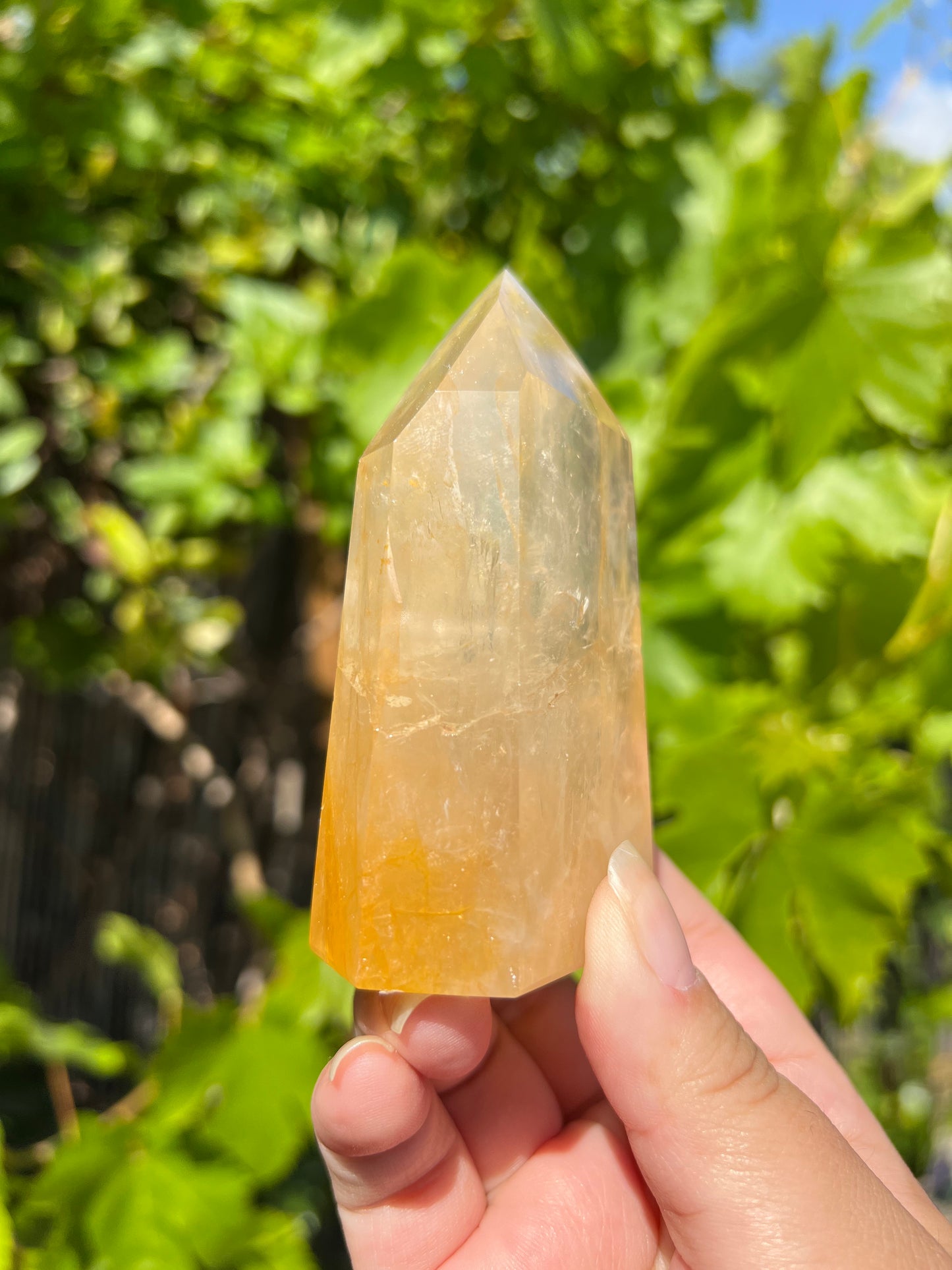 
                  
                    Golden Healer Quartz Point
                  
                
