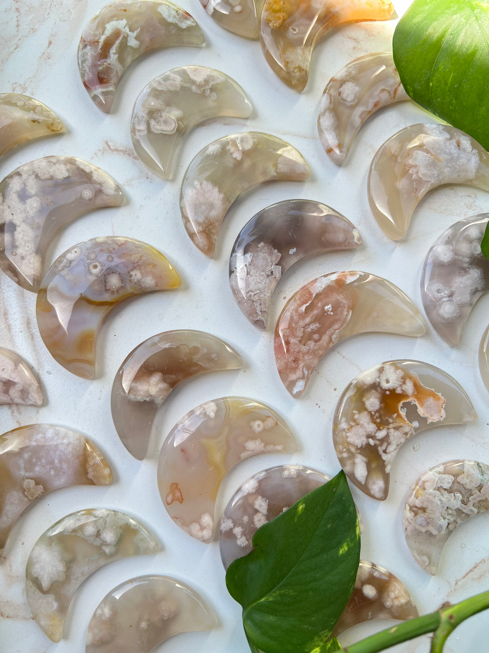 Flower Agate Moon