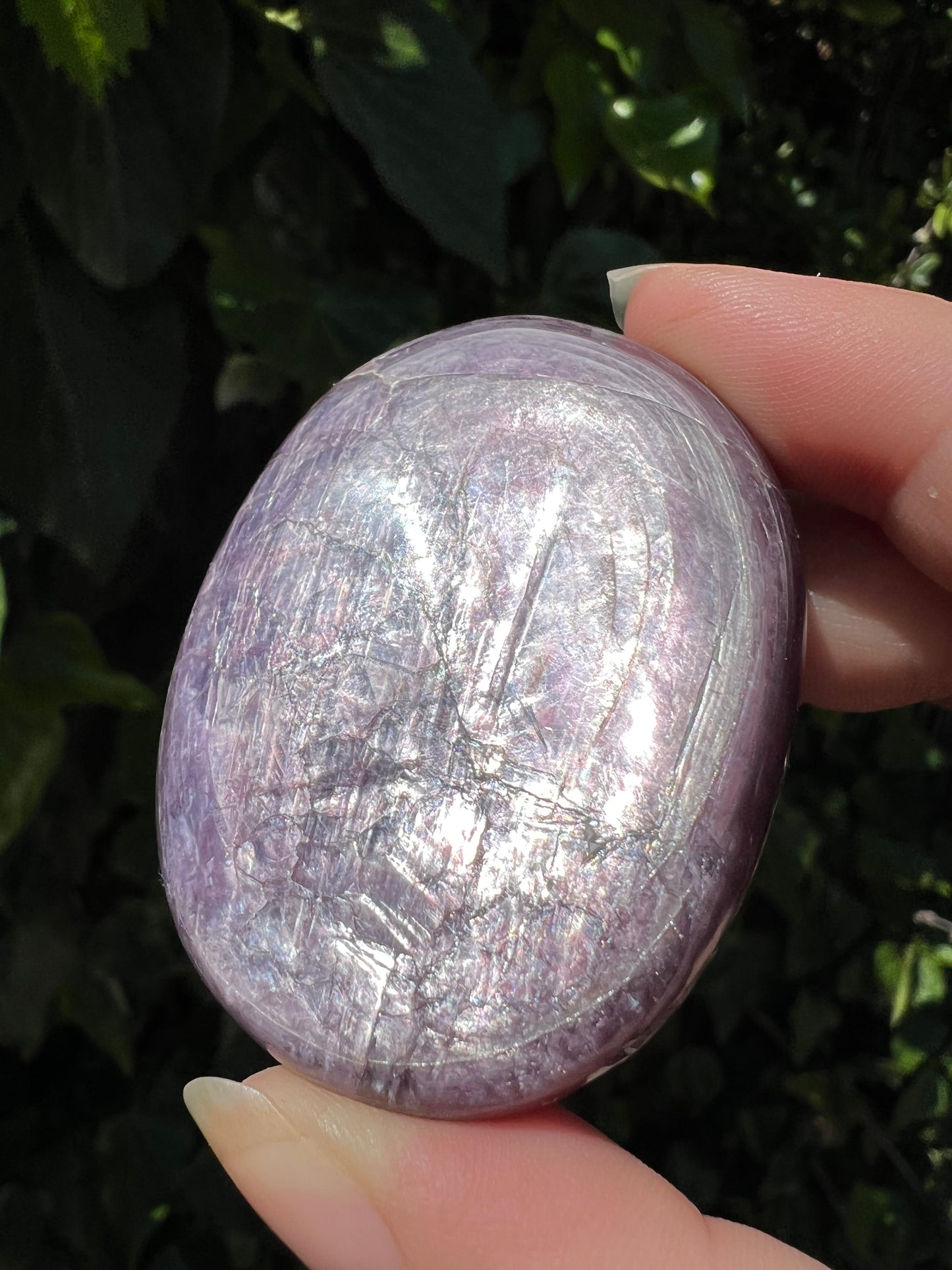 
                  
                    Gem Lepidolite Palm Stone
                  
                