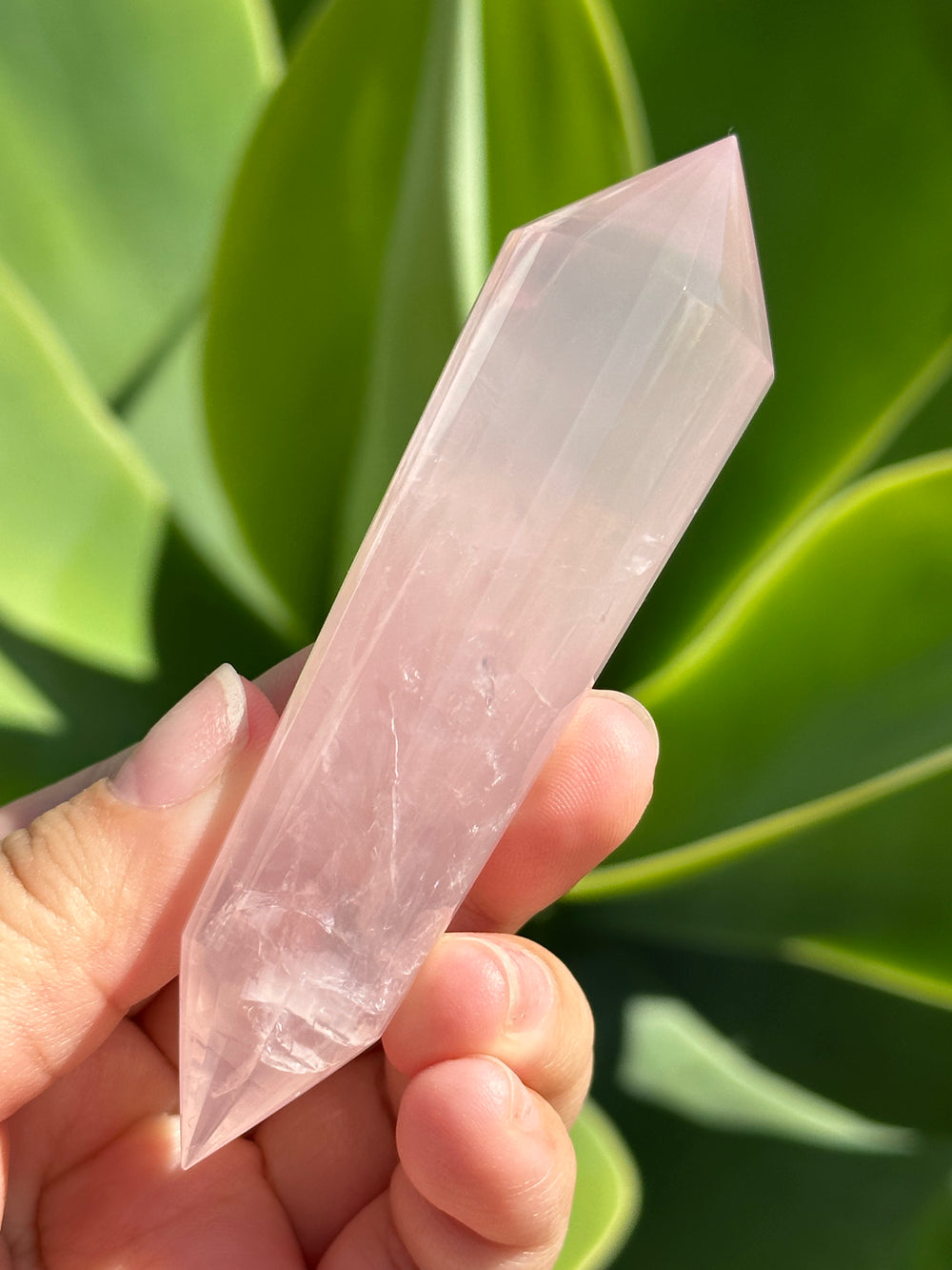 Rose Quartz Vogel