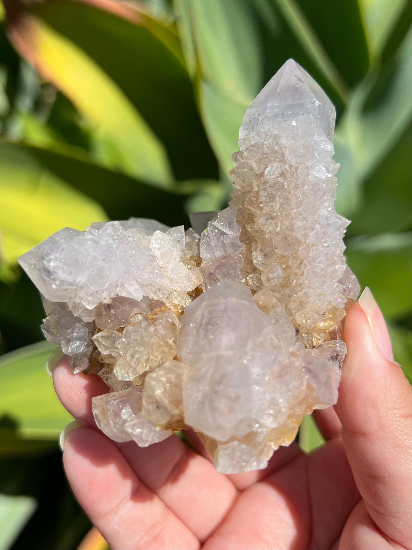 
                  
                    Spirit Quartz Cluster
                  
                