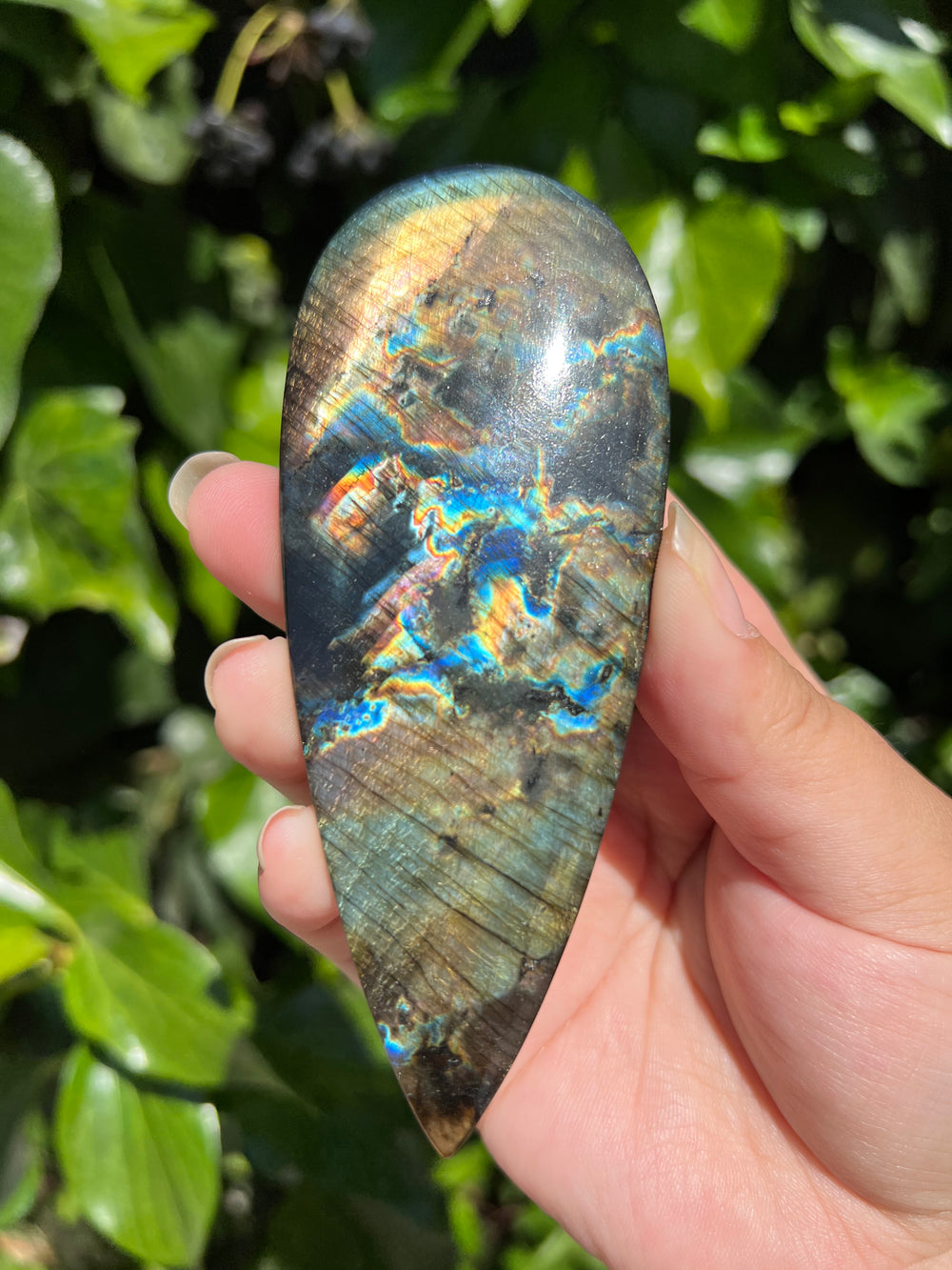XL Labradorite Cab