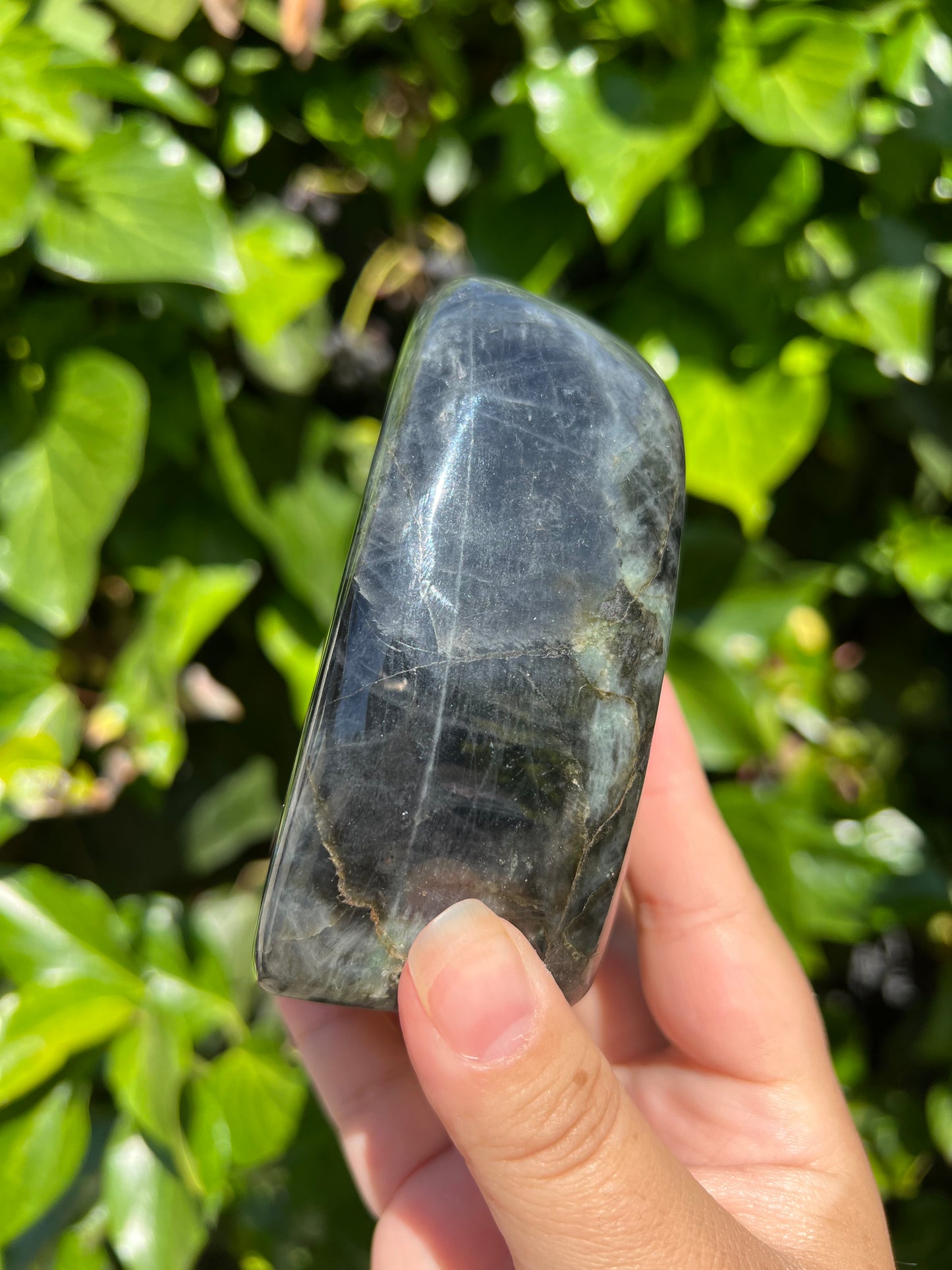 
                  
                    Electric Blue Labradorite Freeform
                  
                