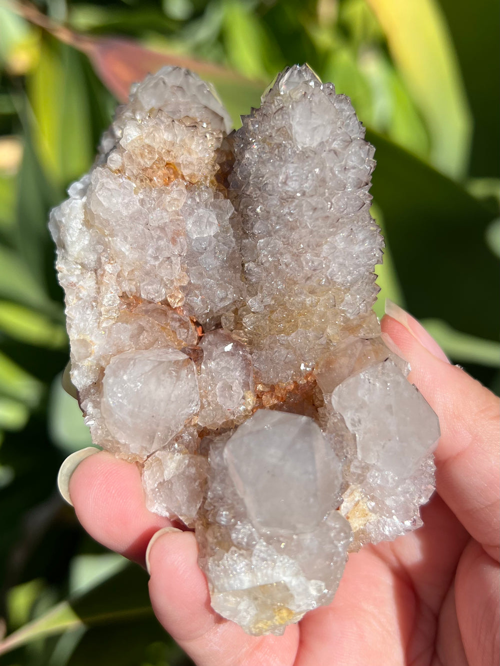 Smokey Spirit Quartz Cluster