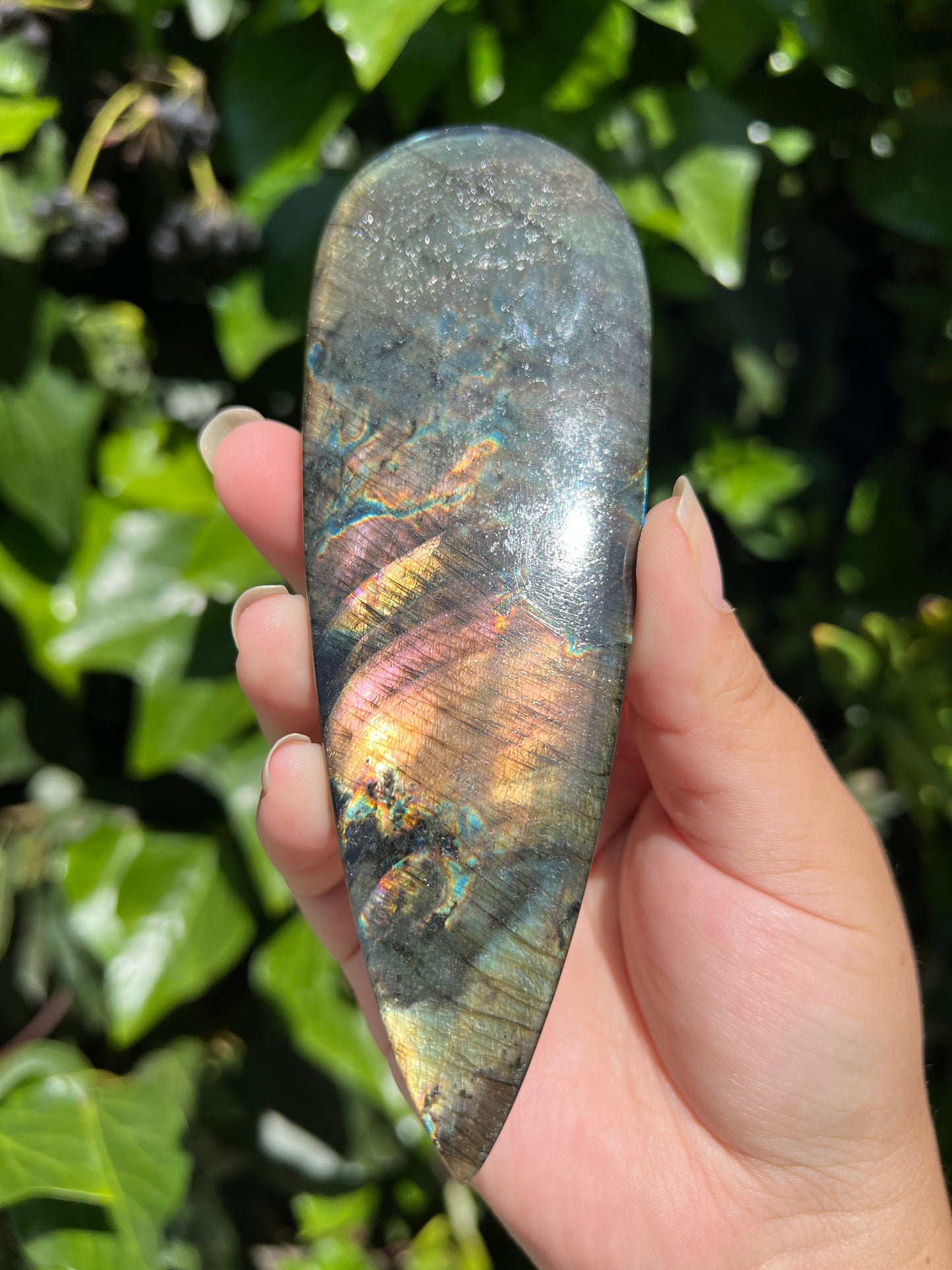 
                  
                    XL Labradorite Cab
                  
                
