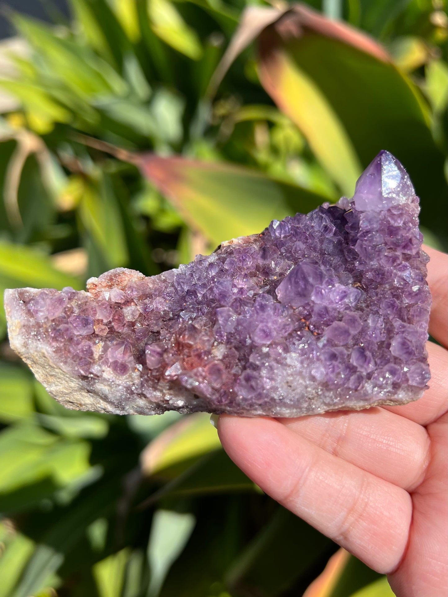 
                  
                    Purple Spirit Quartz
                  
                