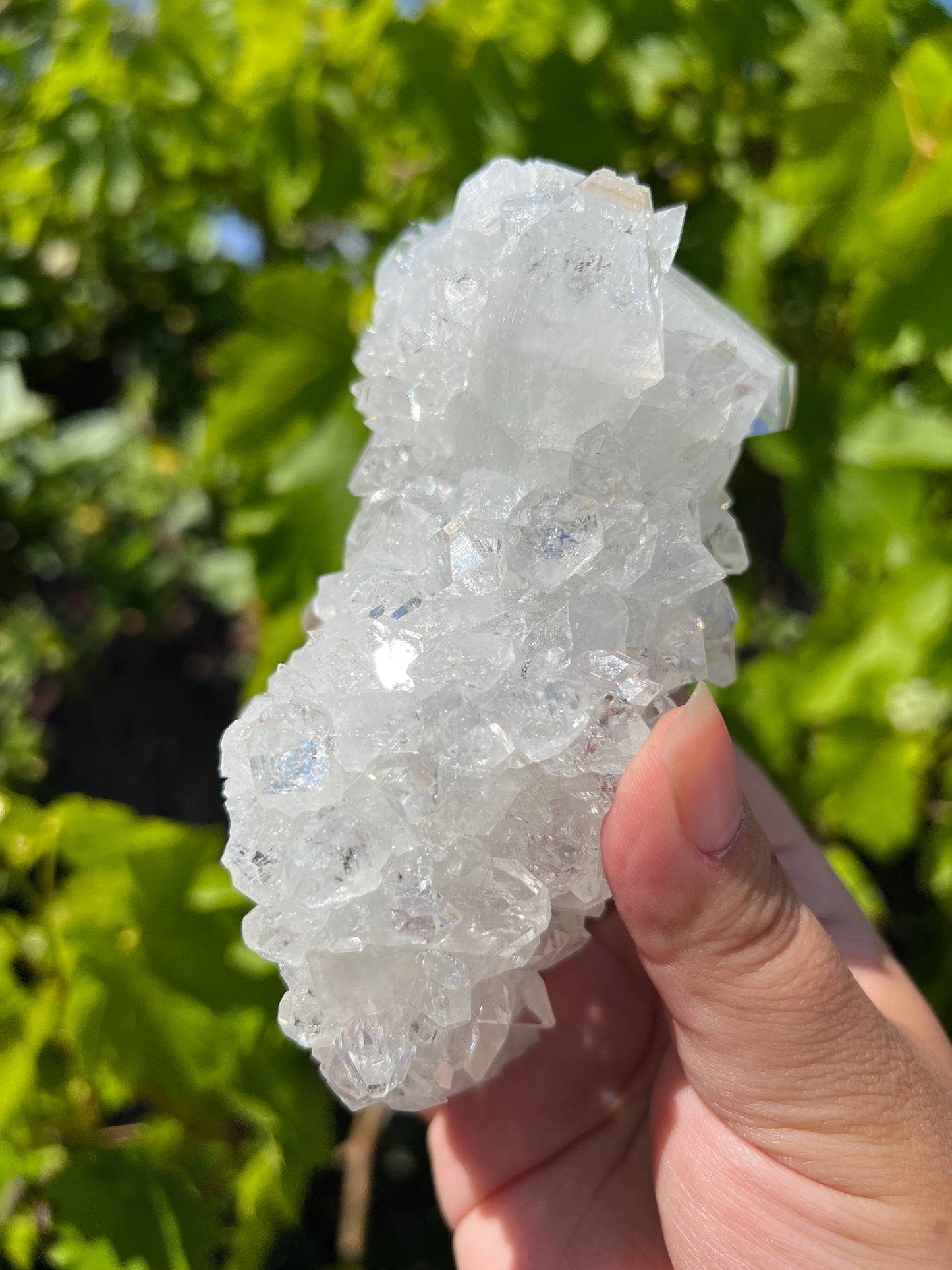 
                  
                    Large Apophyllite Stalactite
                  
                