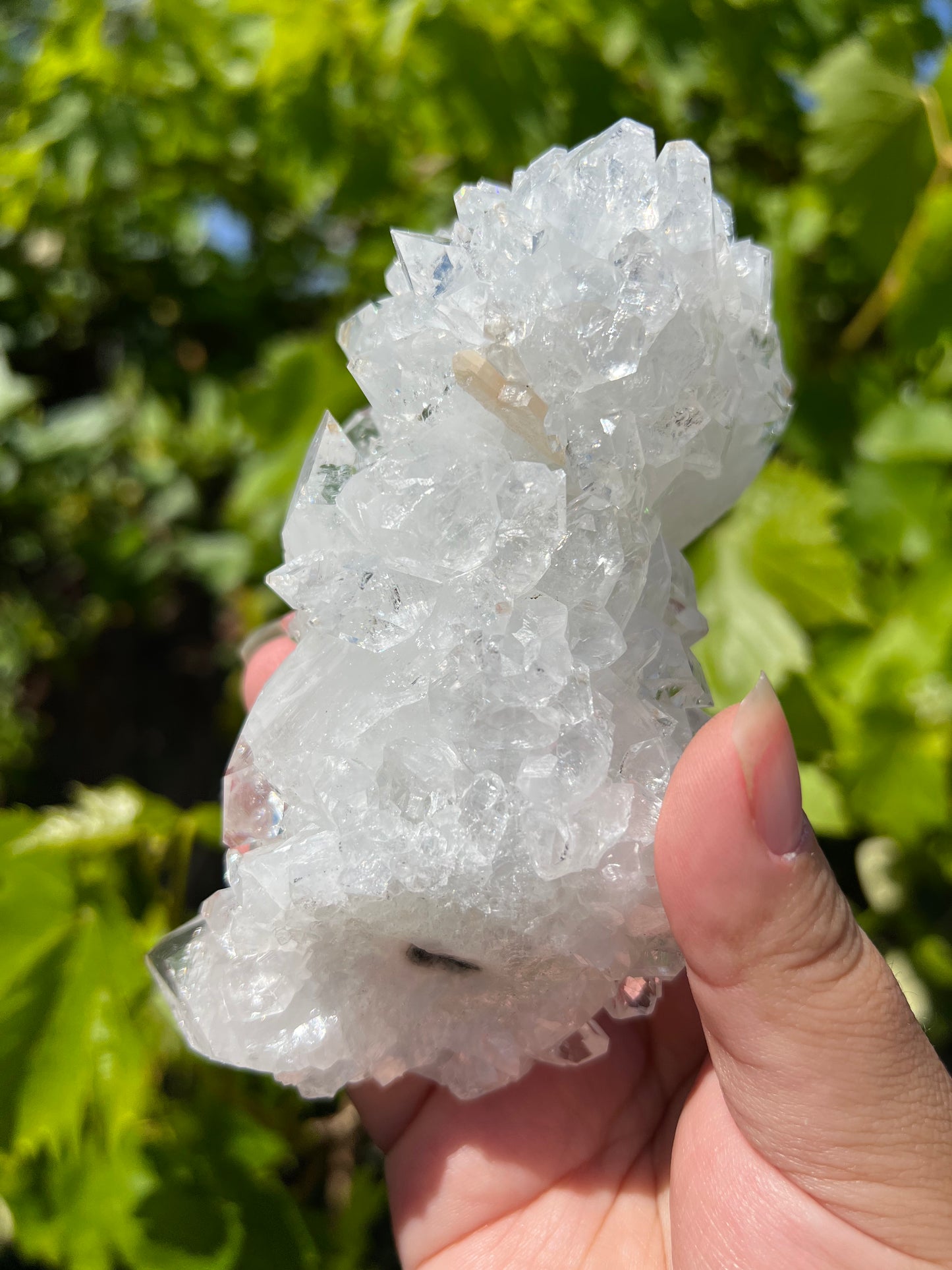 
                  
                    Large Apophyllite Stalactite
                  
                