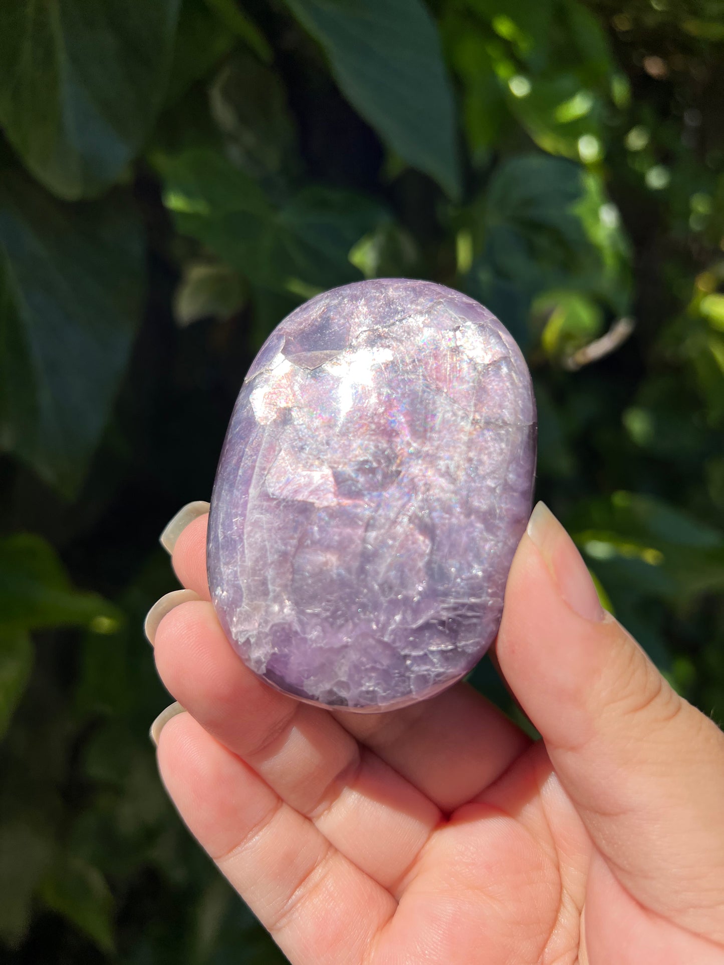 
                  
                    Gem Lepidolite Palm Stone
                  
                