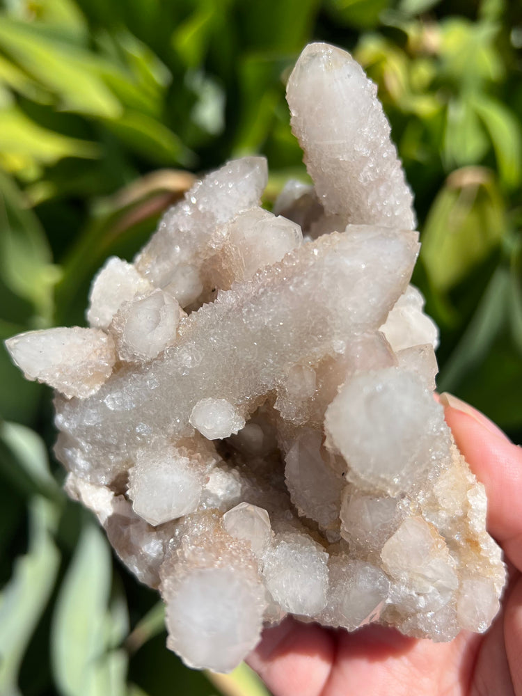 
                  
                    Spirit Quartz Cluster
                  
                