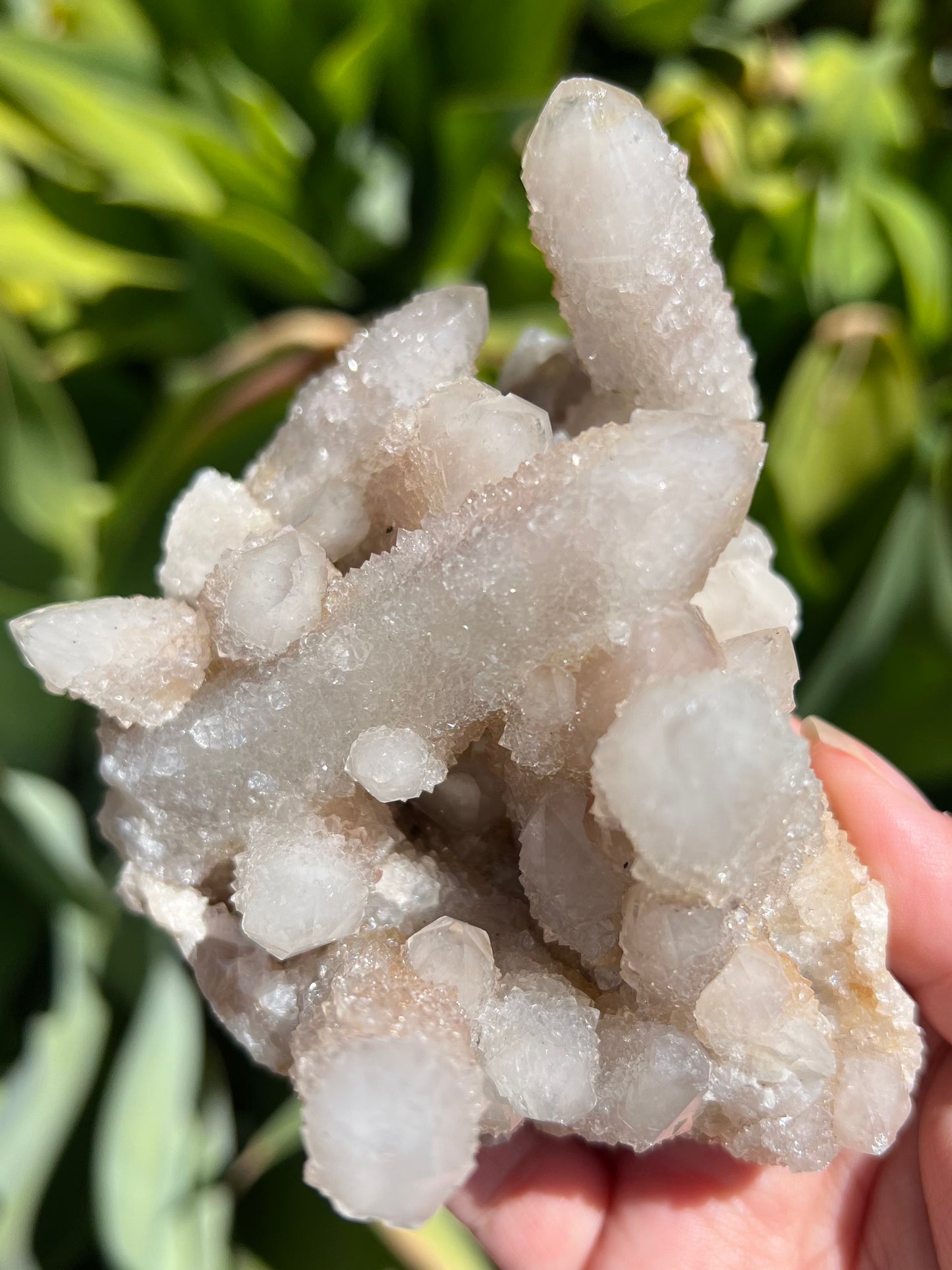 
                  
                    Spirit Quartz Cluster
                  
                