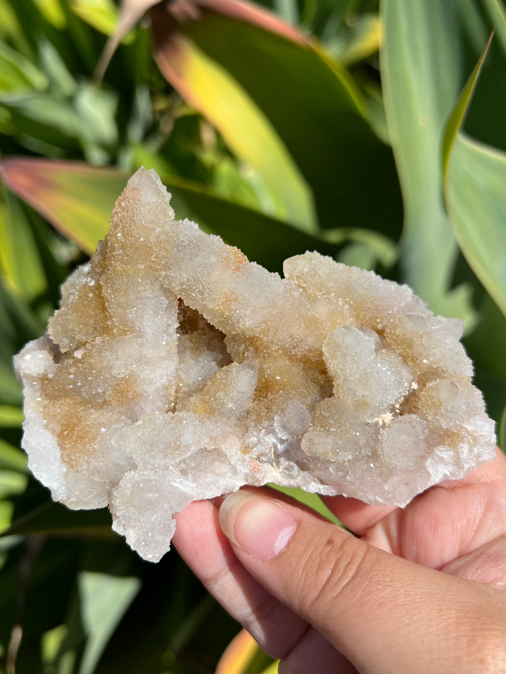 Spirit Quartz Cluster
