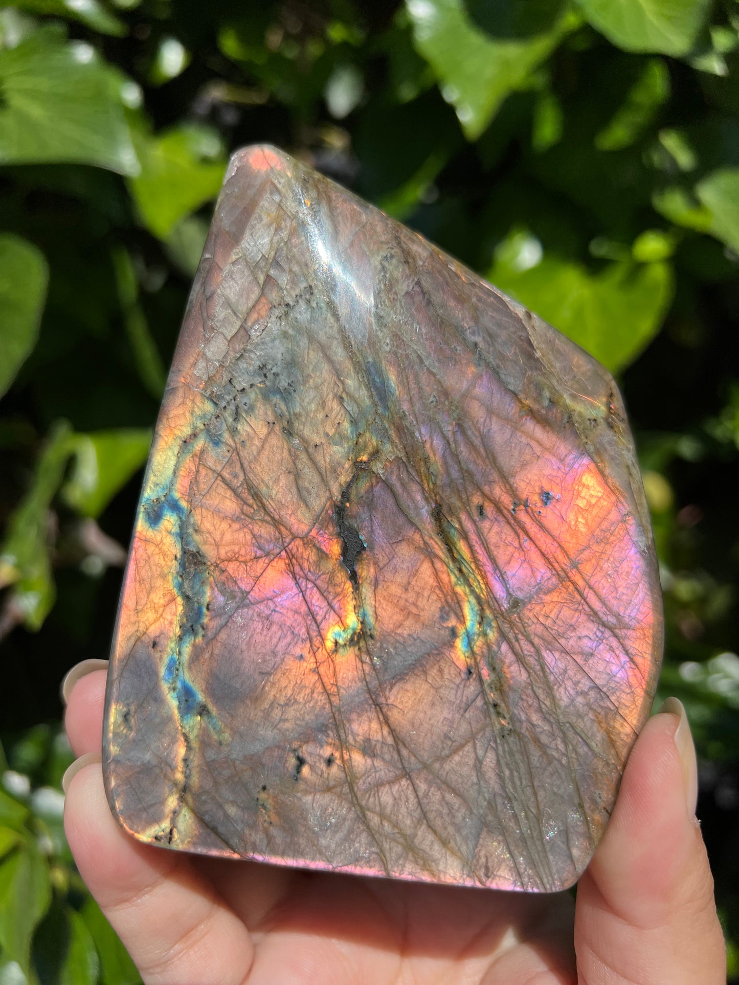 
                  
                    Pink Flame Labradorite Freeform
                  
                