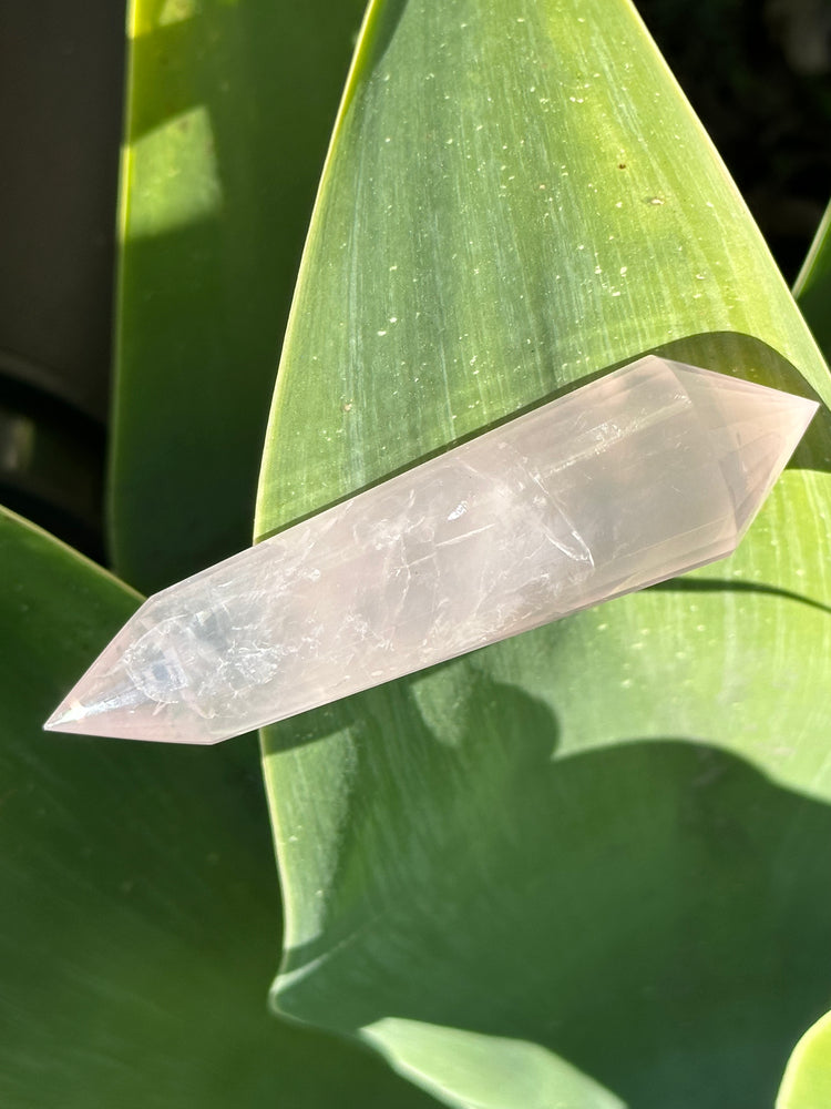 
                  
                    Rose Quartz Vogel
                  
                