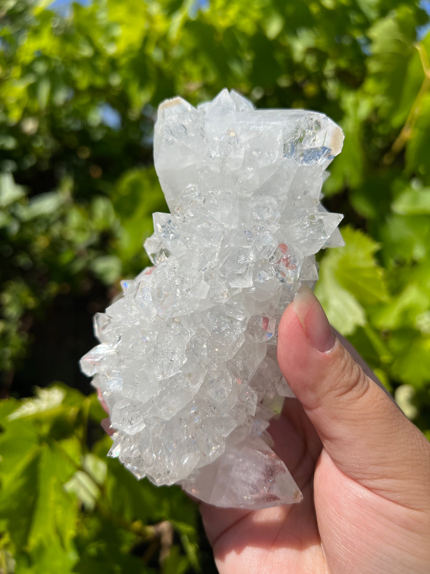 
                  
                    Large Apophyllite Stalactite
                  
                