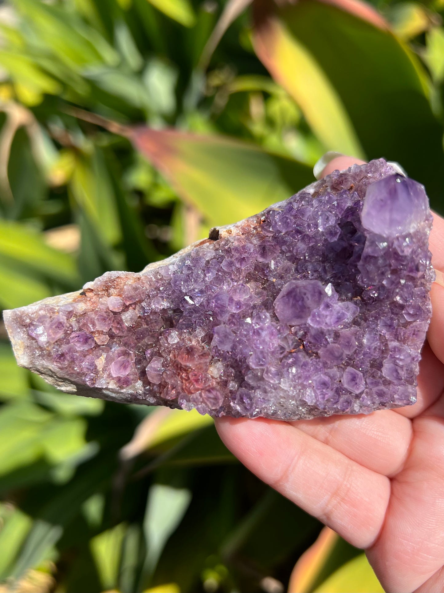 
                  
                    Purple Spirit Quartz
                  
                