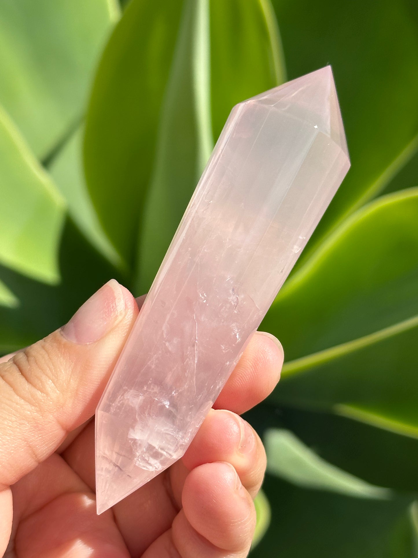 
                  
                    Rose Quartz Vogel
                  
                
