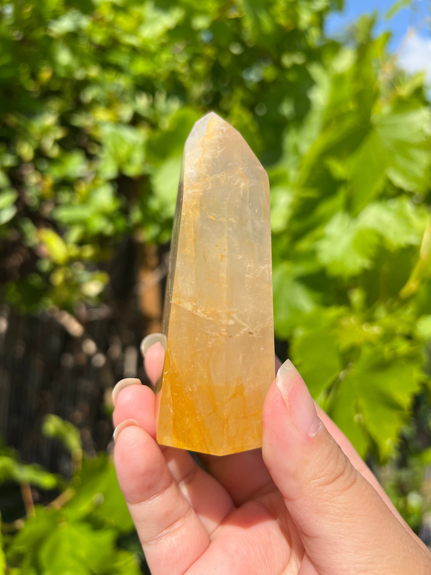 
                  
                    Golden Healer Quartz Point
                  
                