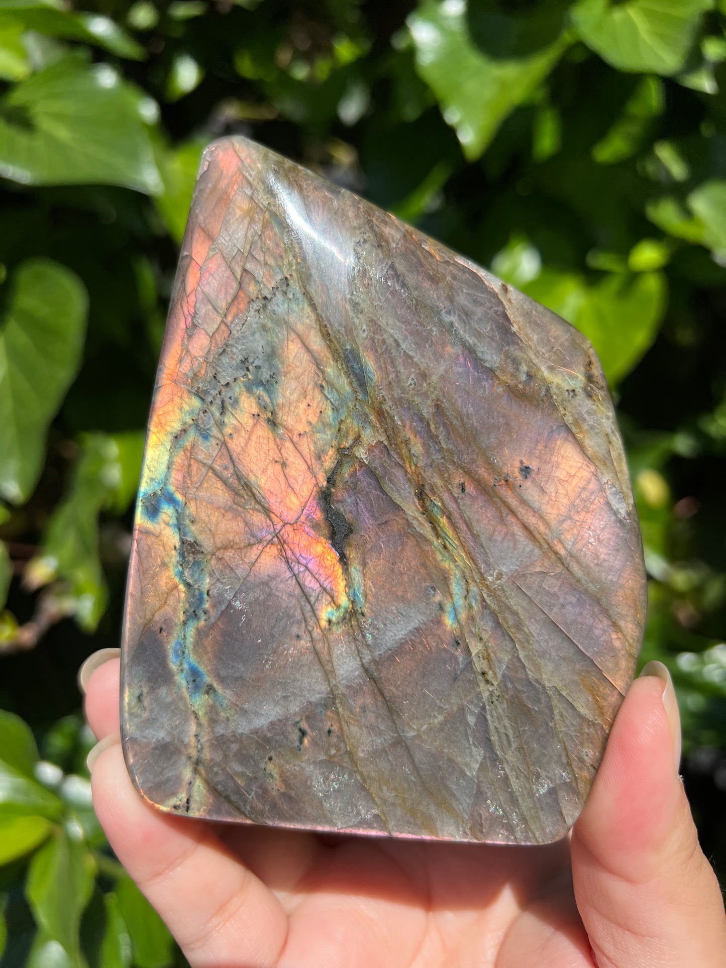 
                  
                    Pink Flame Labradorite Freeform
                  
                