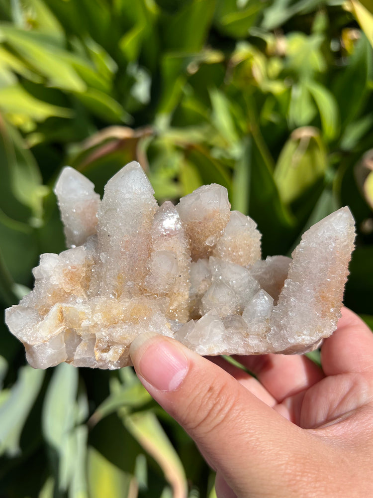 
                  
                    Spirit Quartz Cluster
                  
                