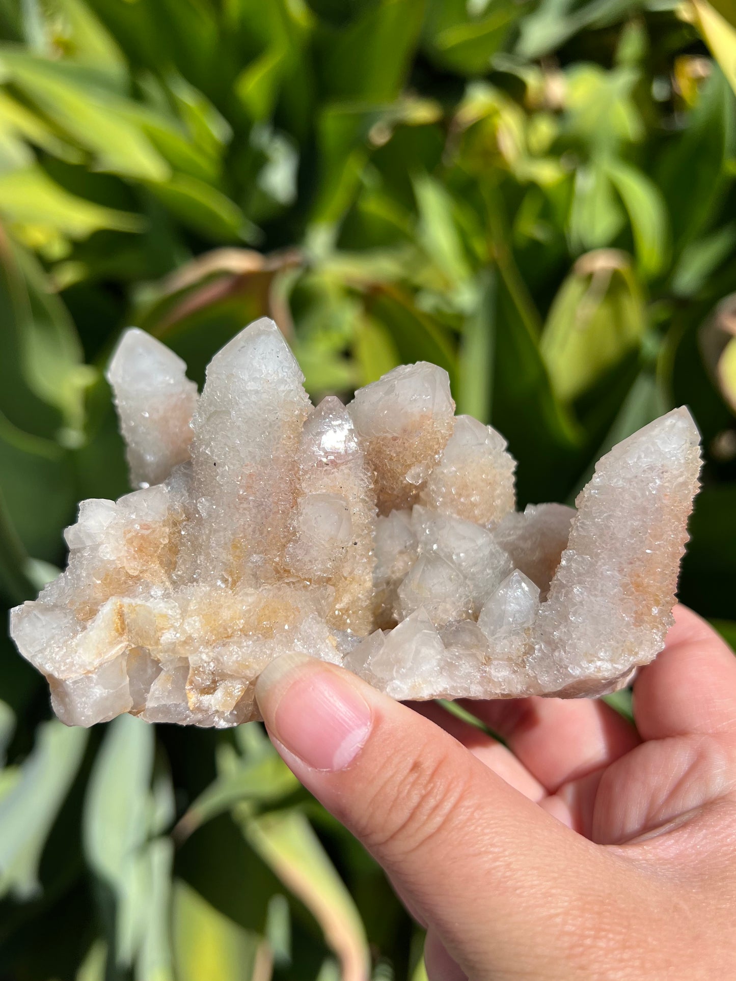
                  
                    Spirit Quartz Cluster
                  
                