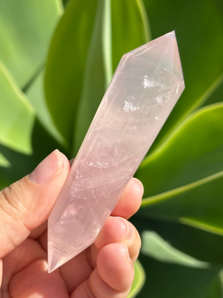 
                  
                    Rose Quartz Vogel
                  
                