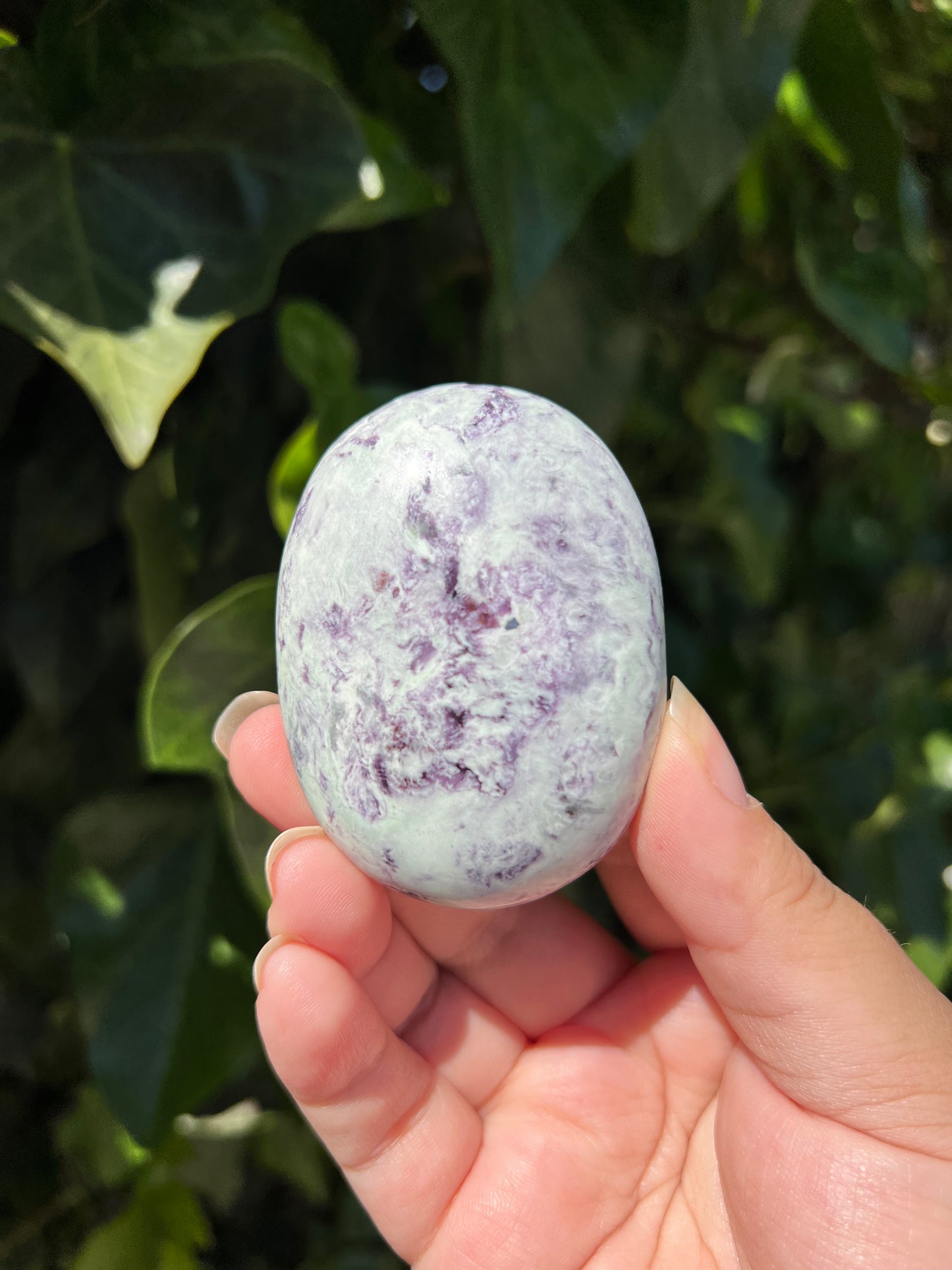 
                  
                    Kammererite Palm Stone
                  
                