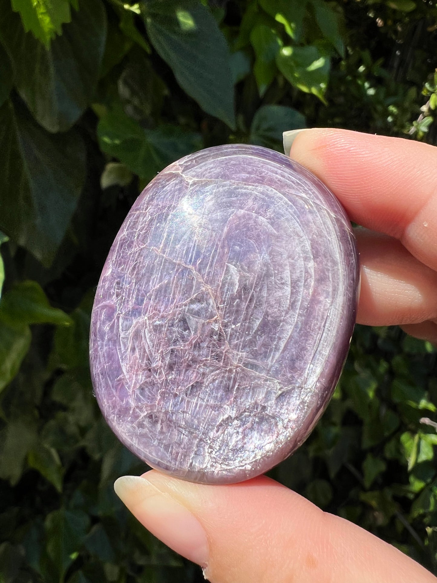 
                  
                    Gem Lepidolite Palm Stone
                  
                