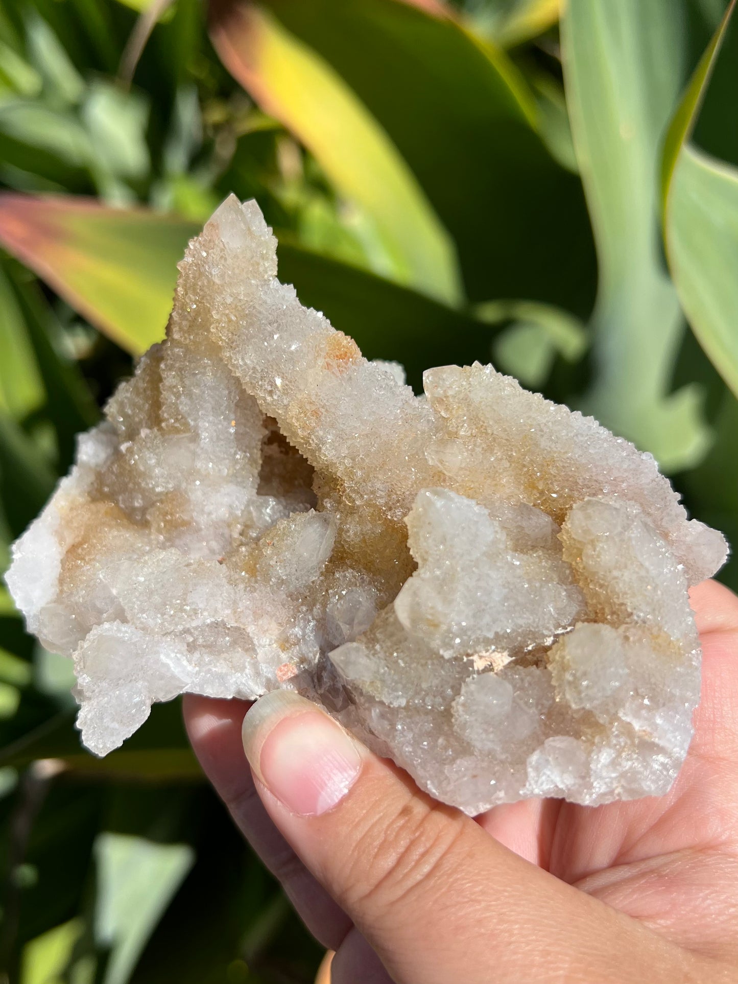 
                  
                    Spirit Quartz Cluster
                  
                
