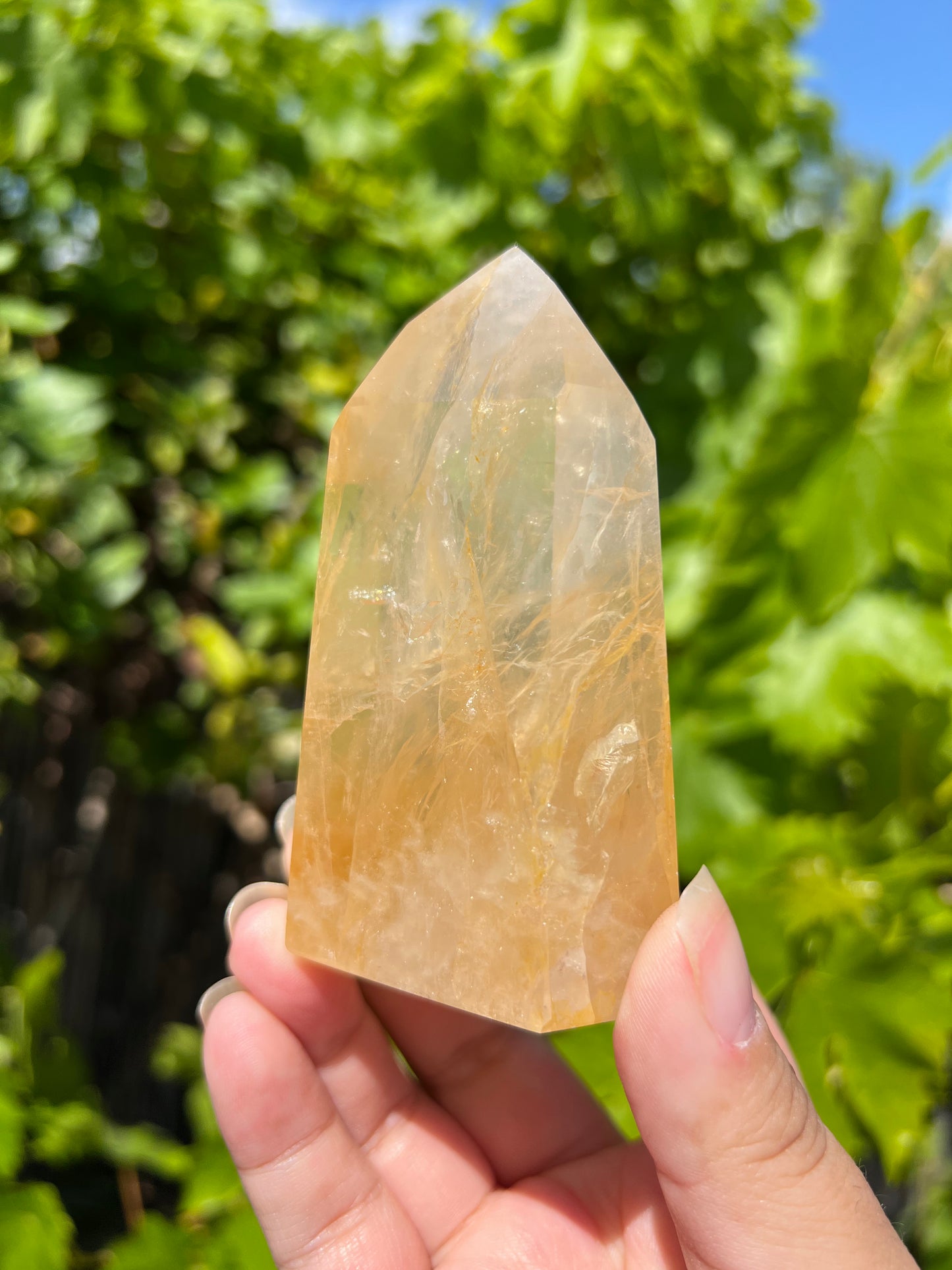 
                  
                    Golden Healer Quartz Point
                  
                