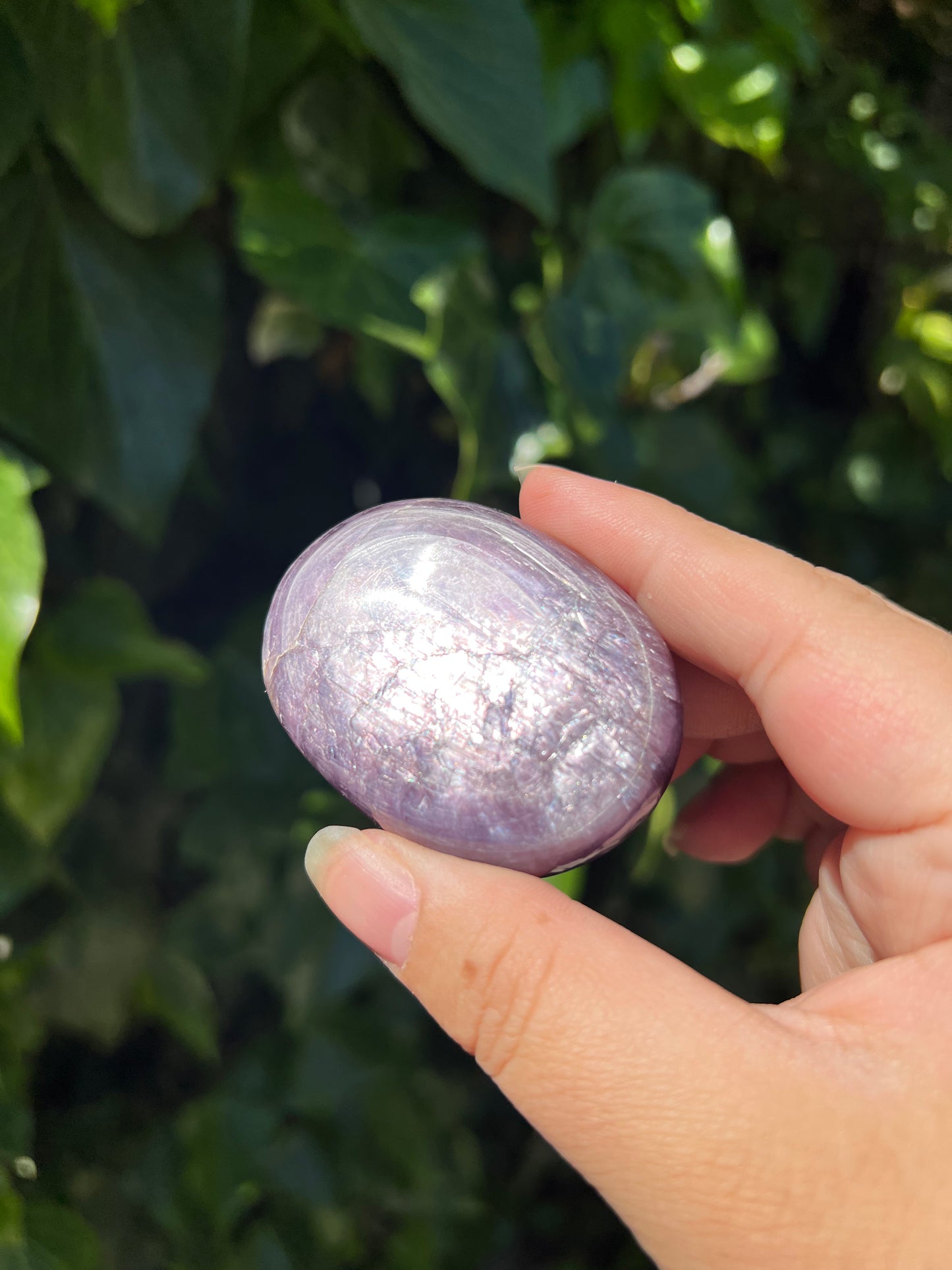 
                  
                    Gem Lepidolite Palm Stone
                  
                