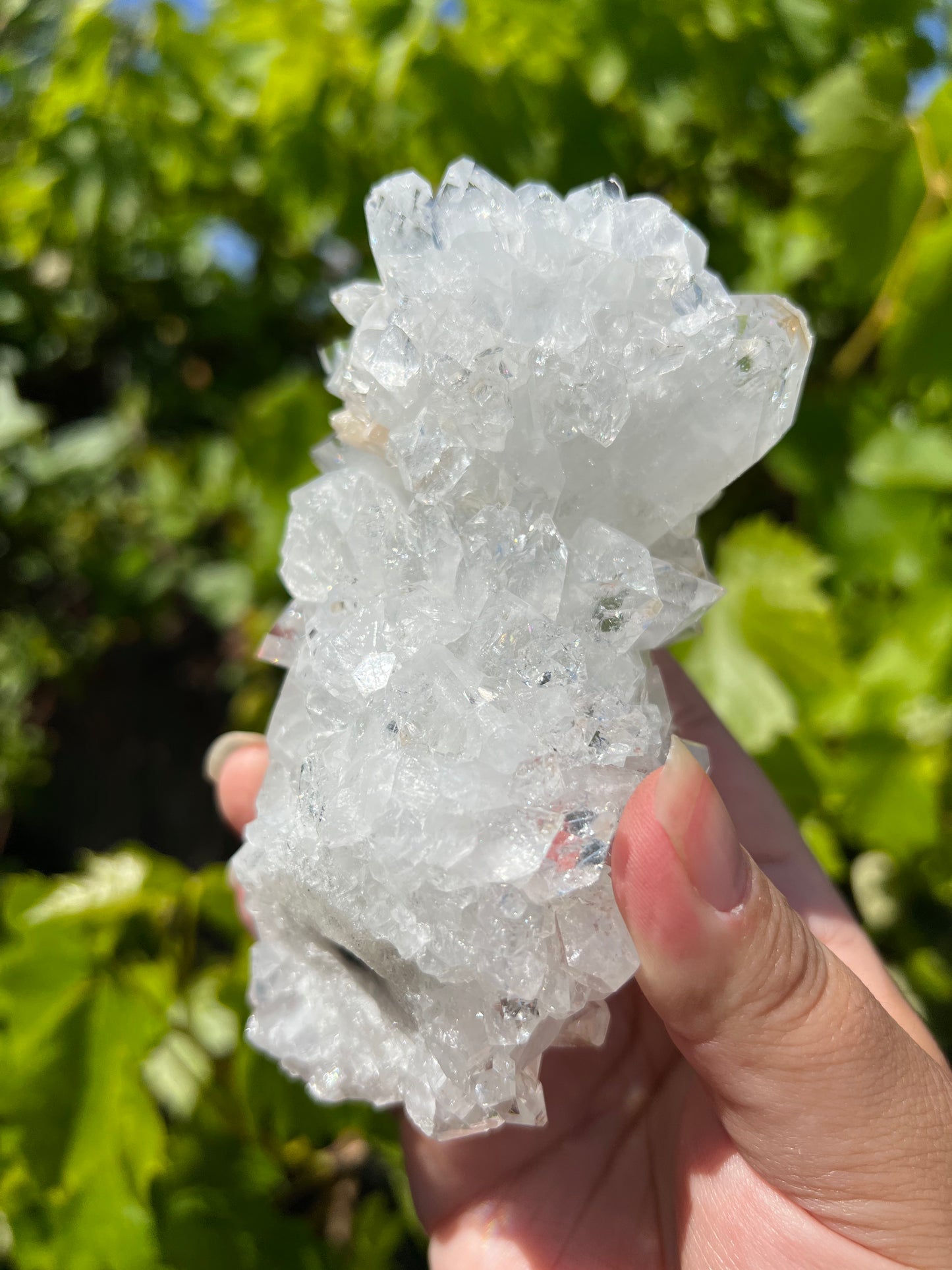 
                  
                    Large Apophyllite Stalactite
                  
                